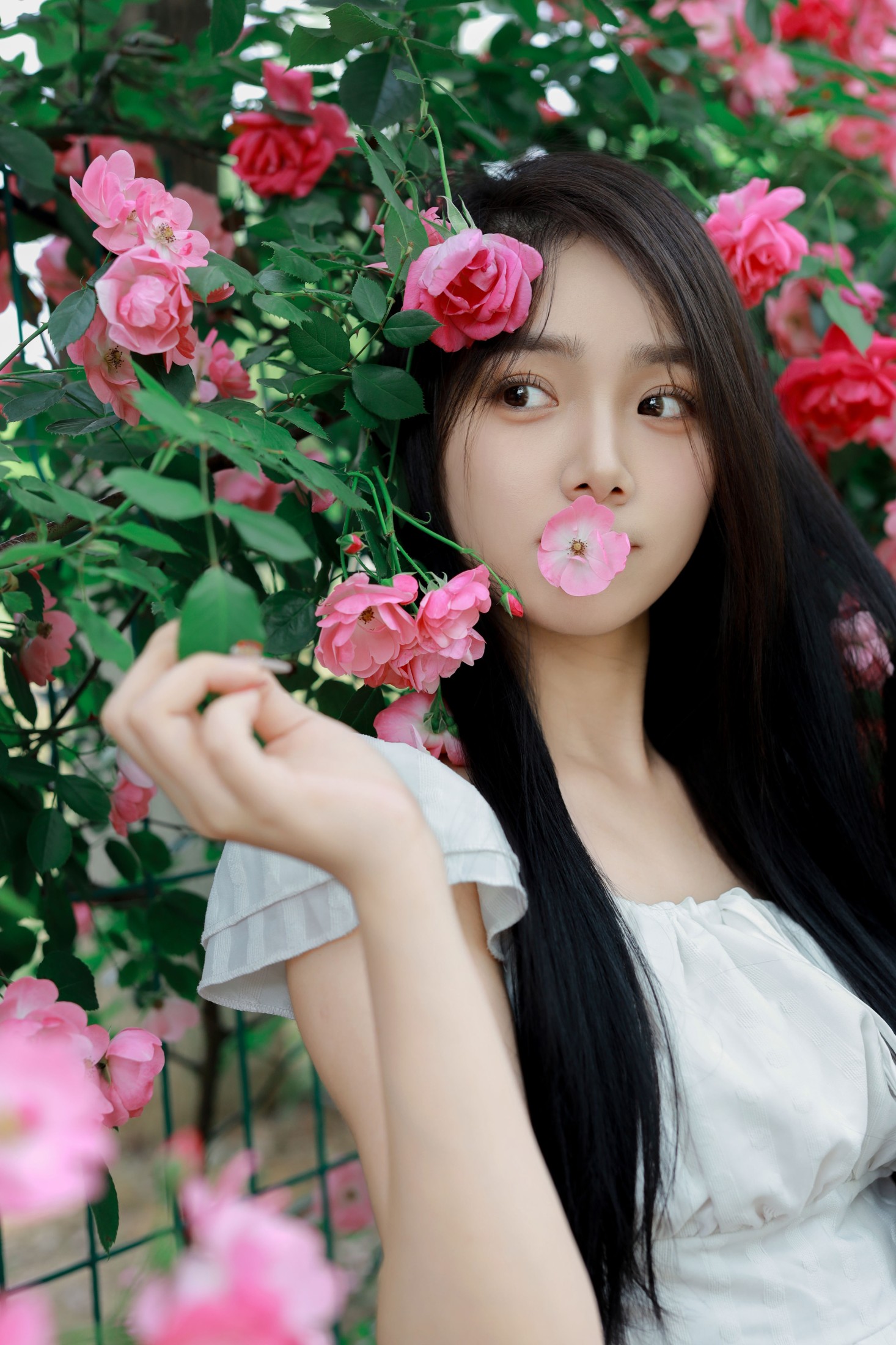 图片[4]-我不刷鸟 – 《花墙》[26P]-COS写真在线网