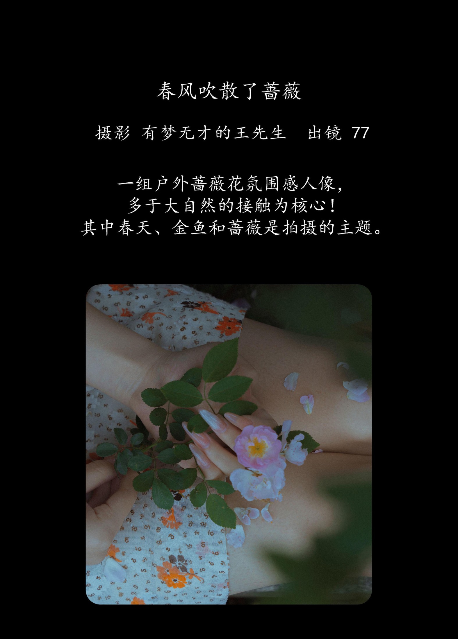 图片[2]-77 – 《春风吹散了蔷薇》[29P]-COS写真在线网