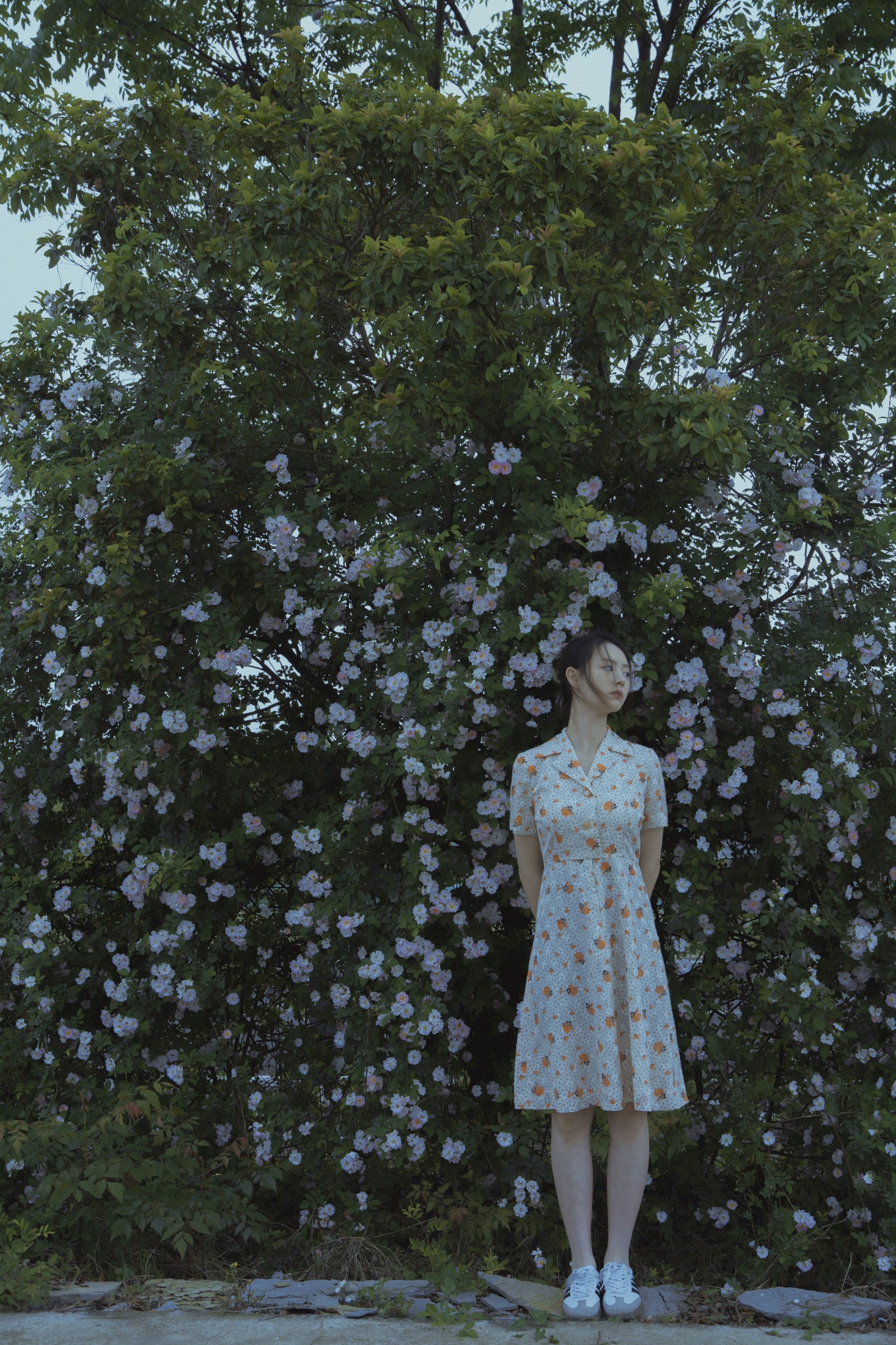 图片[3]-77 – 《春风吹散了蔷薇》[29P]-COS写真在线网