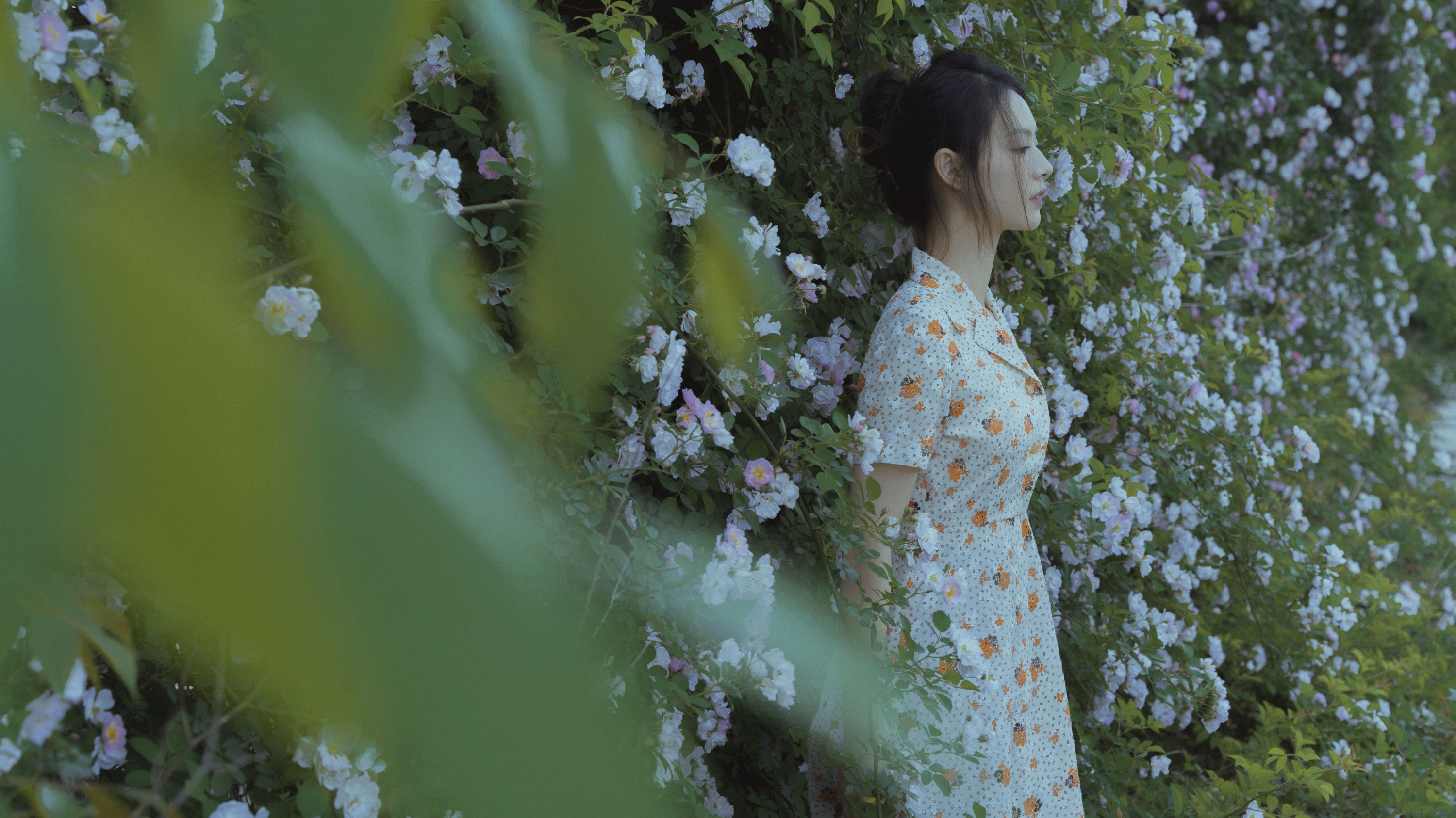 图片[5]-77 – 《春风吹散了蔷薇》[29P]-COS写真在线网