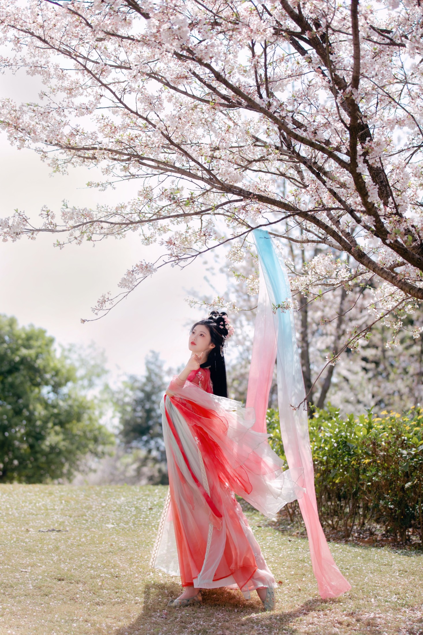 图片[5]-阳阳 – 《樱花雨》[22P]-COS写真在线网