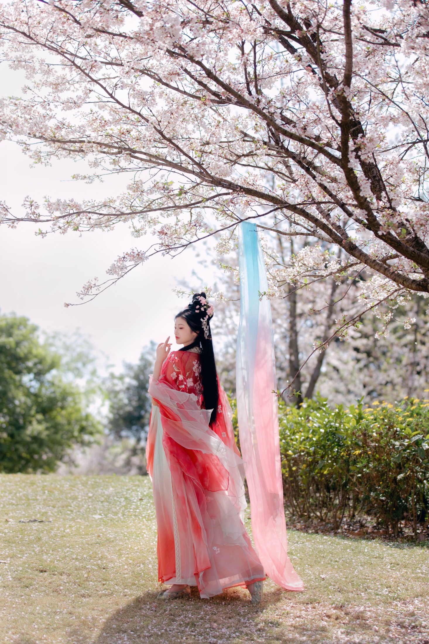 图片[6]-阳阳 – 《樱花雨》[22P]-COS写真在线网