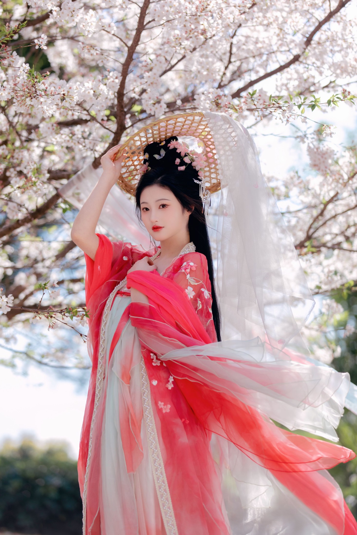 图片[4]-阳阳 – 《樱花雨》[22P]-COS写真在线网