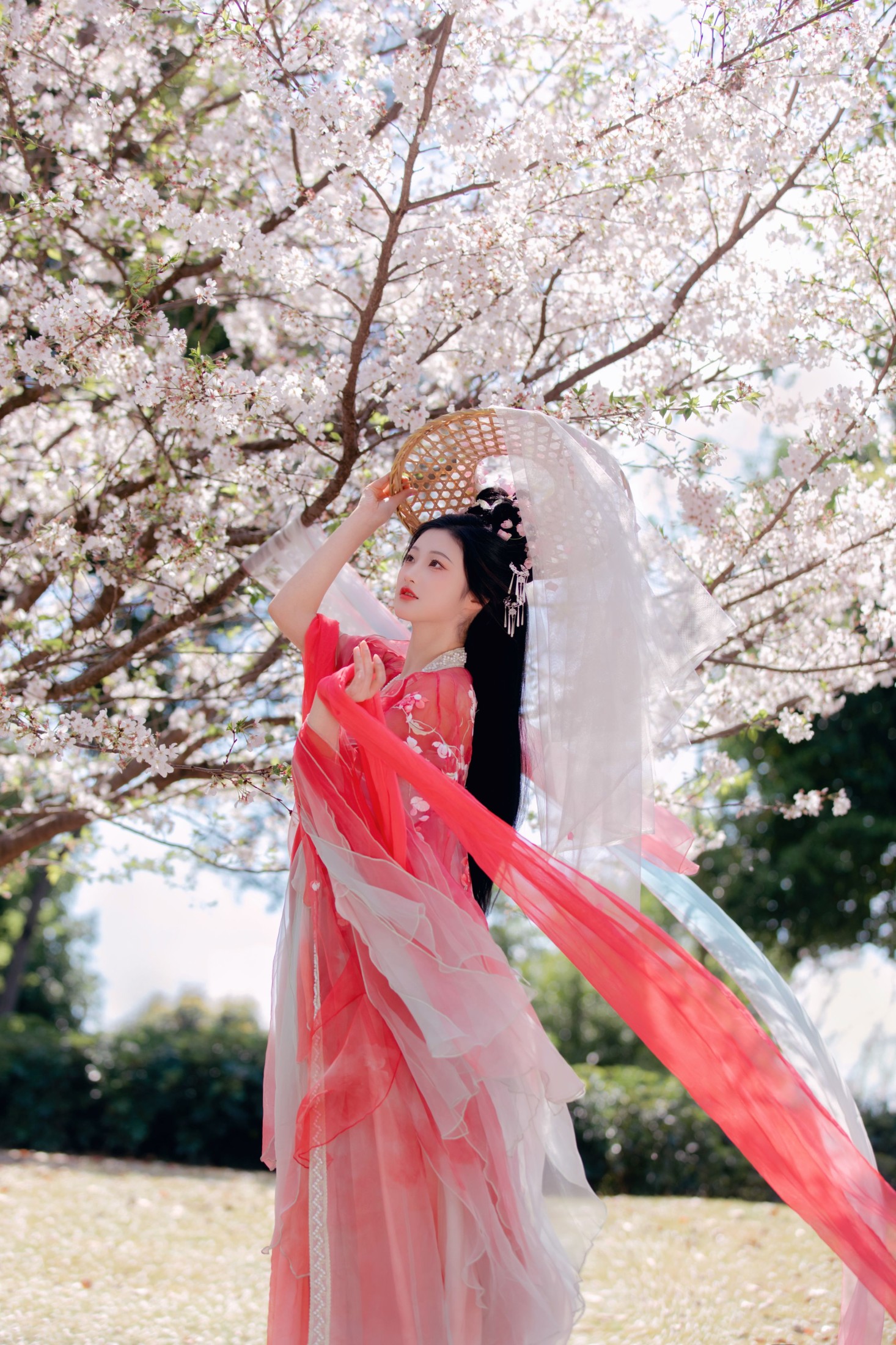 图片[3]-阳阳 – 《樱花雨》[22P]-COS写真在线网