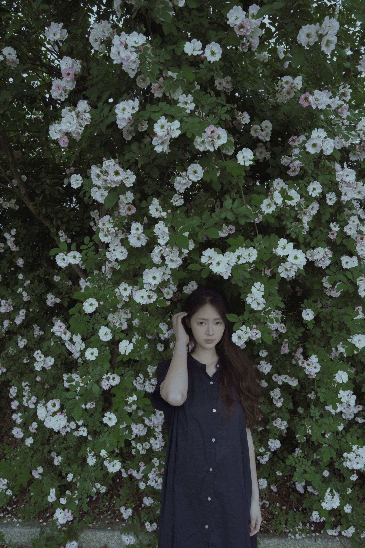 图片[4]-77 – 《随花》[23P]-COS写真在线网