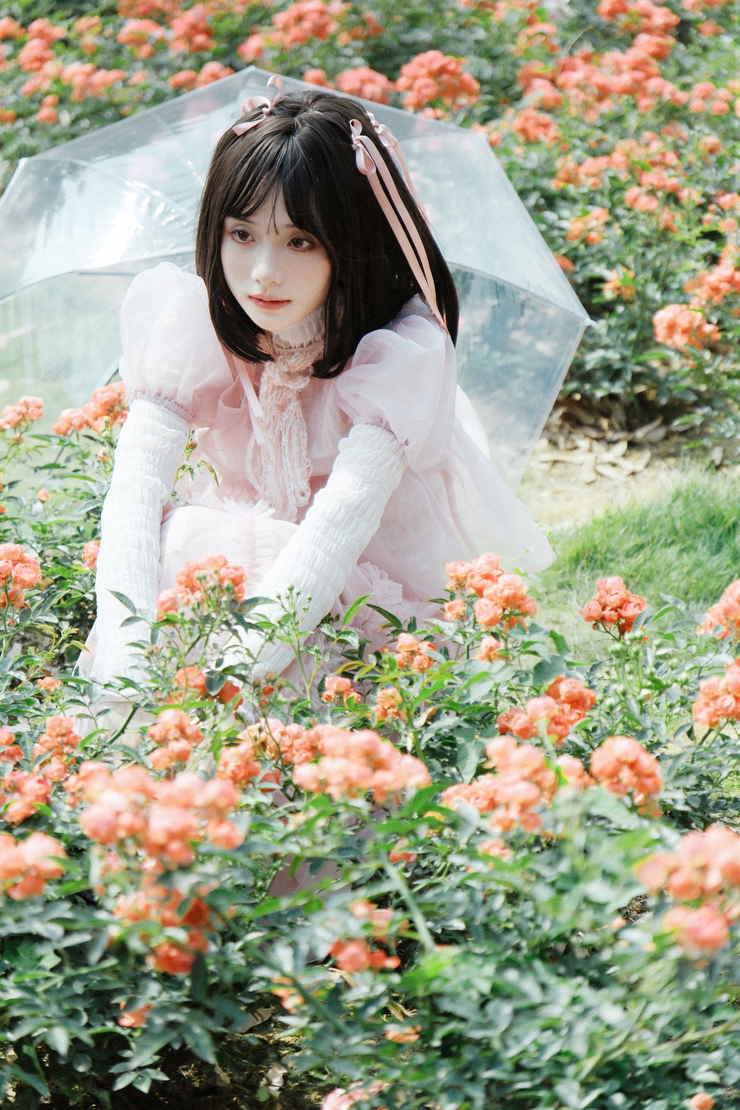 图片[3]-一枝沐瑶瑶 – 《蔷薇少女》[24P]-COS写真在线网