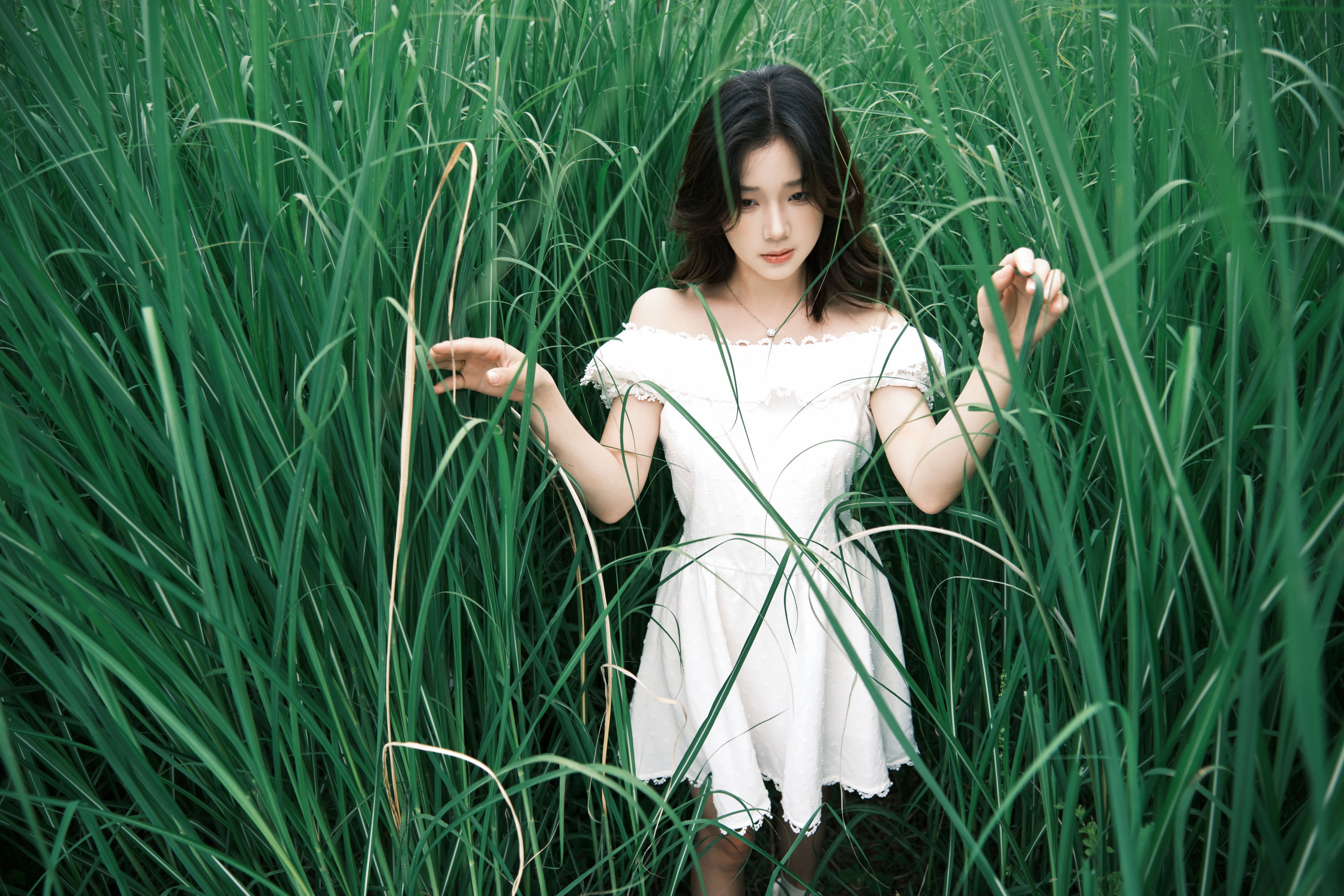 图片[4]-To小北 – 《草地少女》[39P]-COS写真在线网