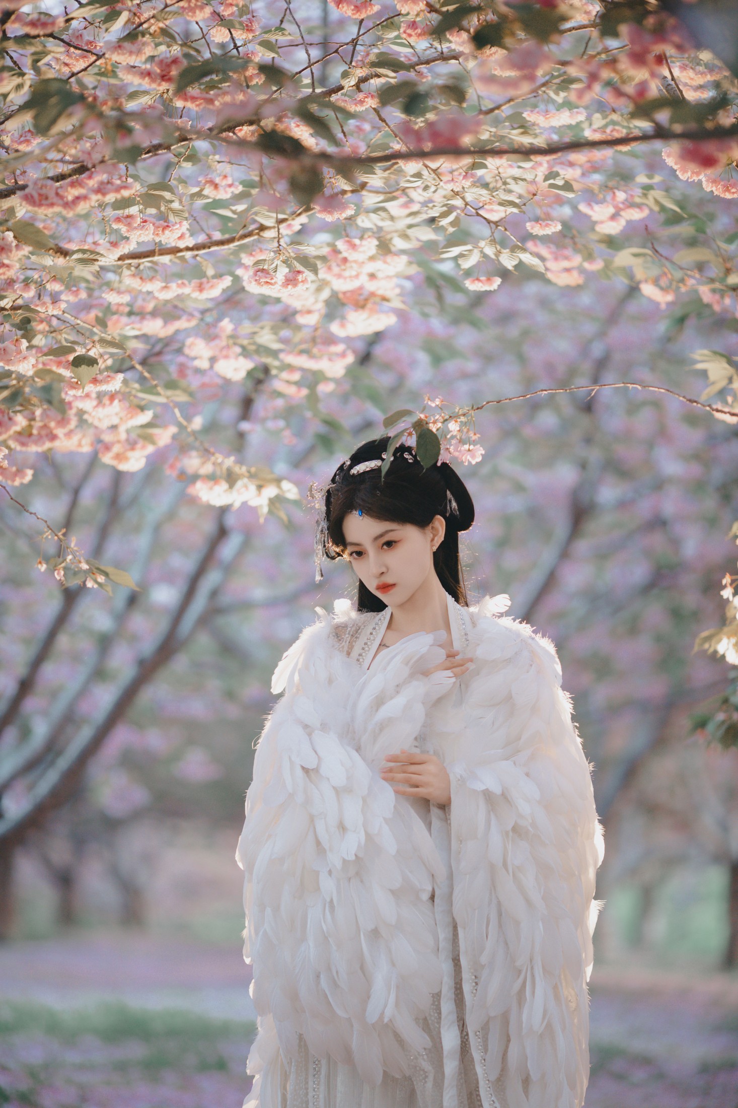 图片[5]-壹萱- – 《白凤》[36P]-COS写真在线网