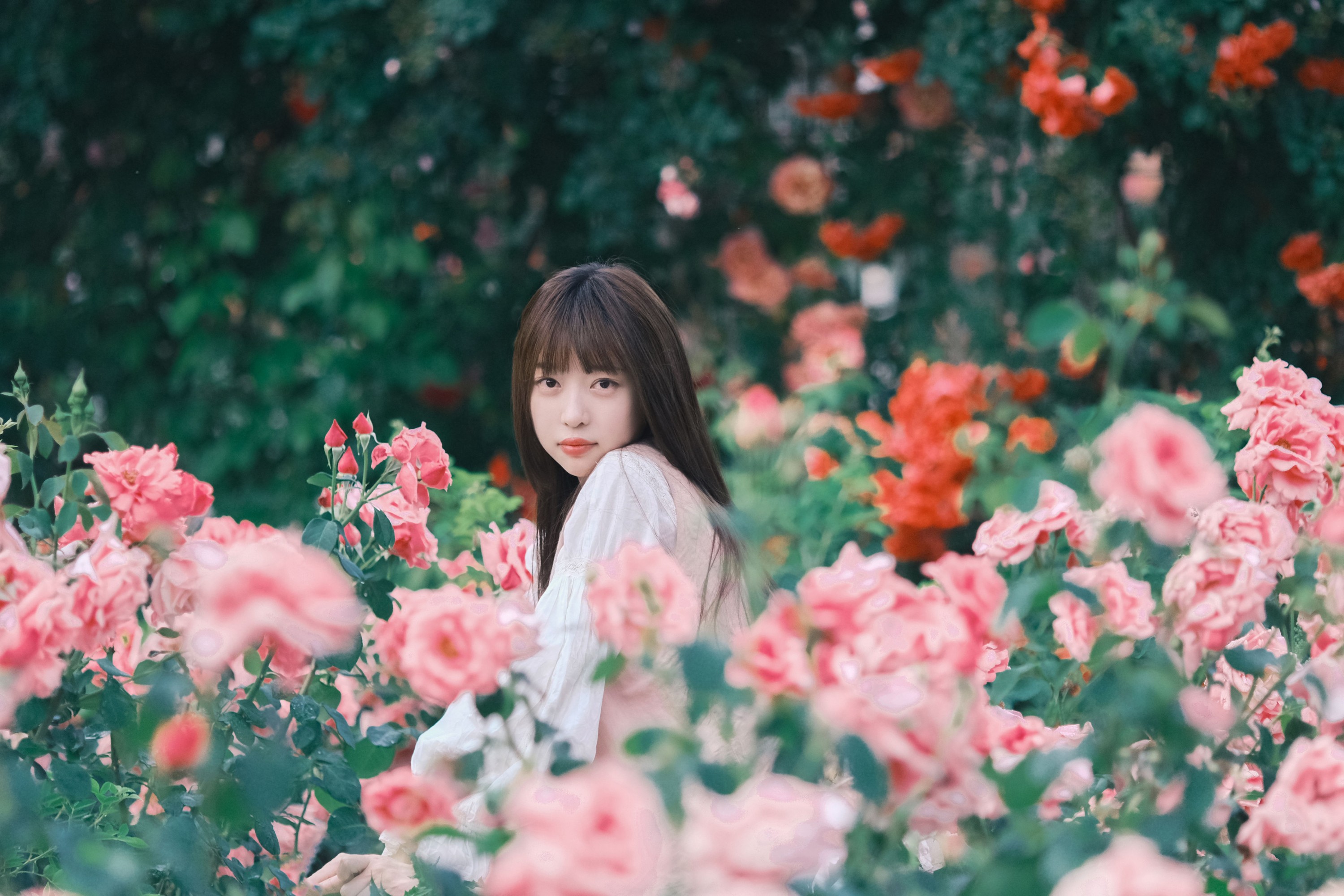 图片[3]-Sweet_t田甜 – 《不止玫瑰有爱意》[22P]-COS写真在线网