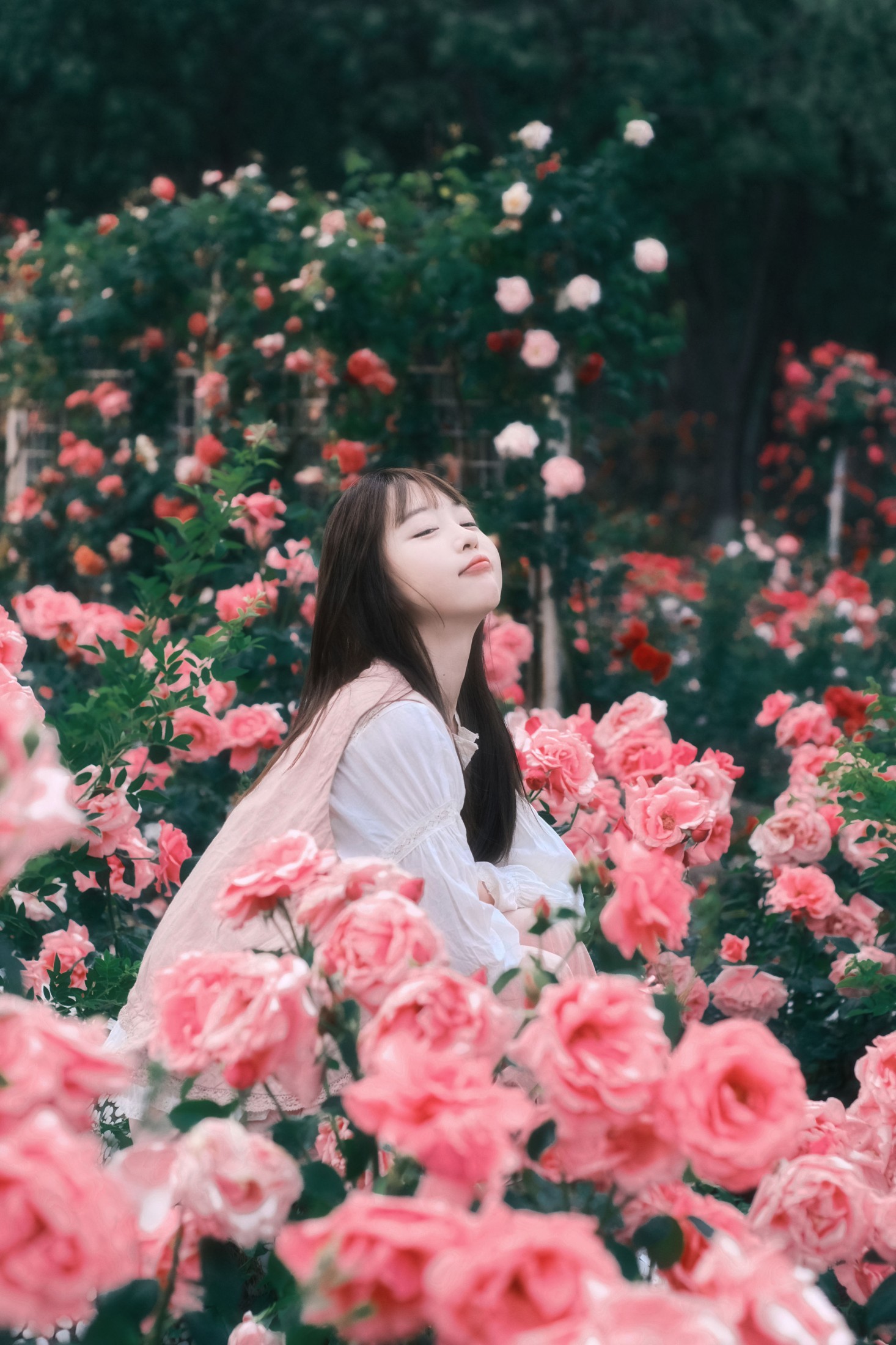 图片[5]-Sweet_t田甜 – 《不止玫瑰有爱意》[22P]-COS写真在线网