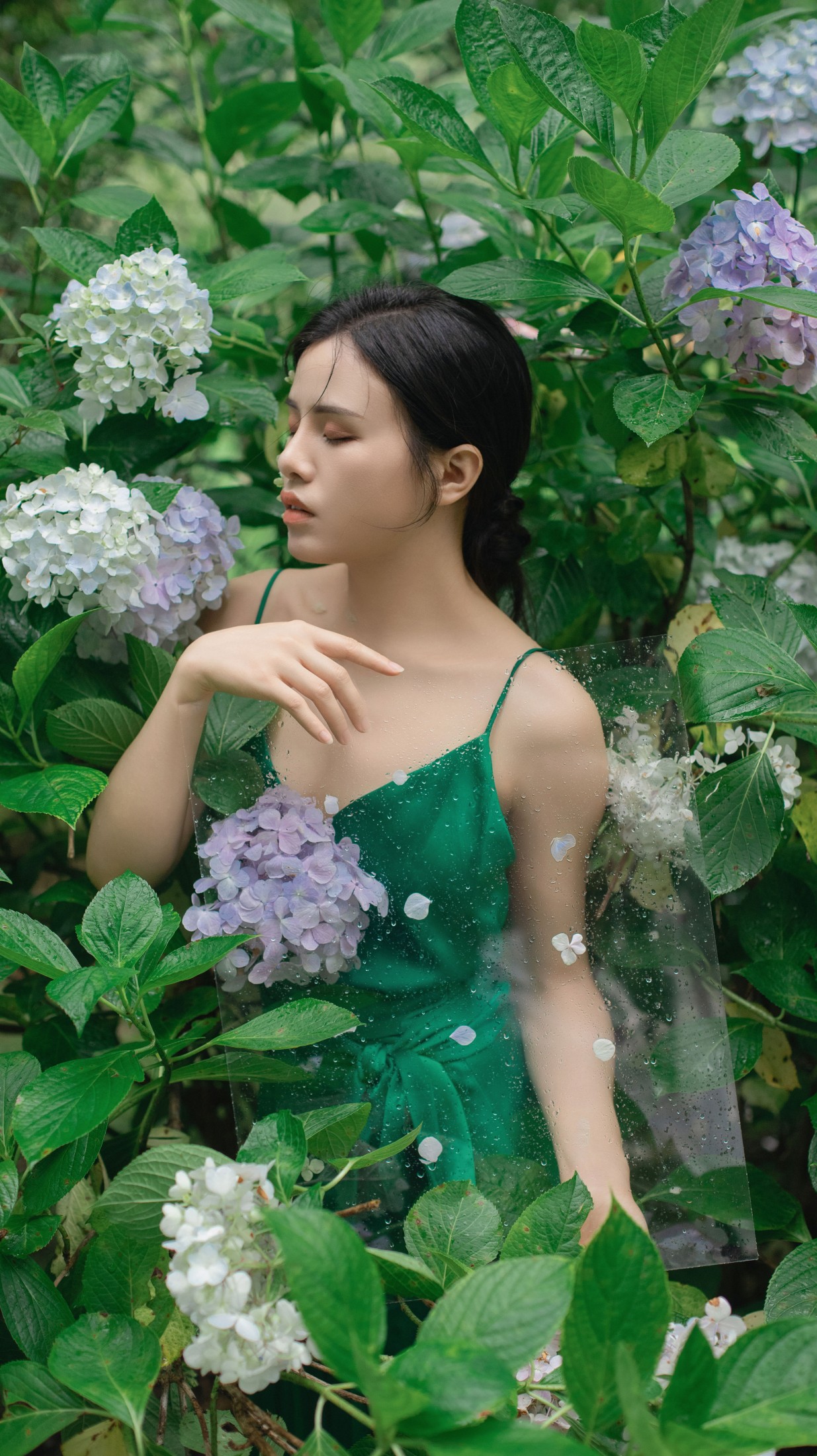 图片[3]-安妮 – 《无尽夏》[27P]-COS写真在线网