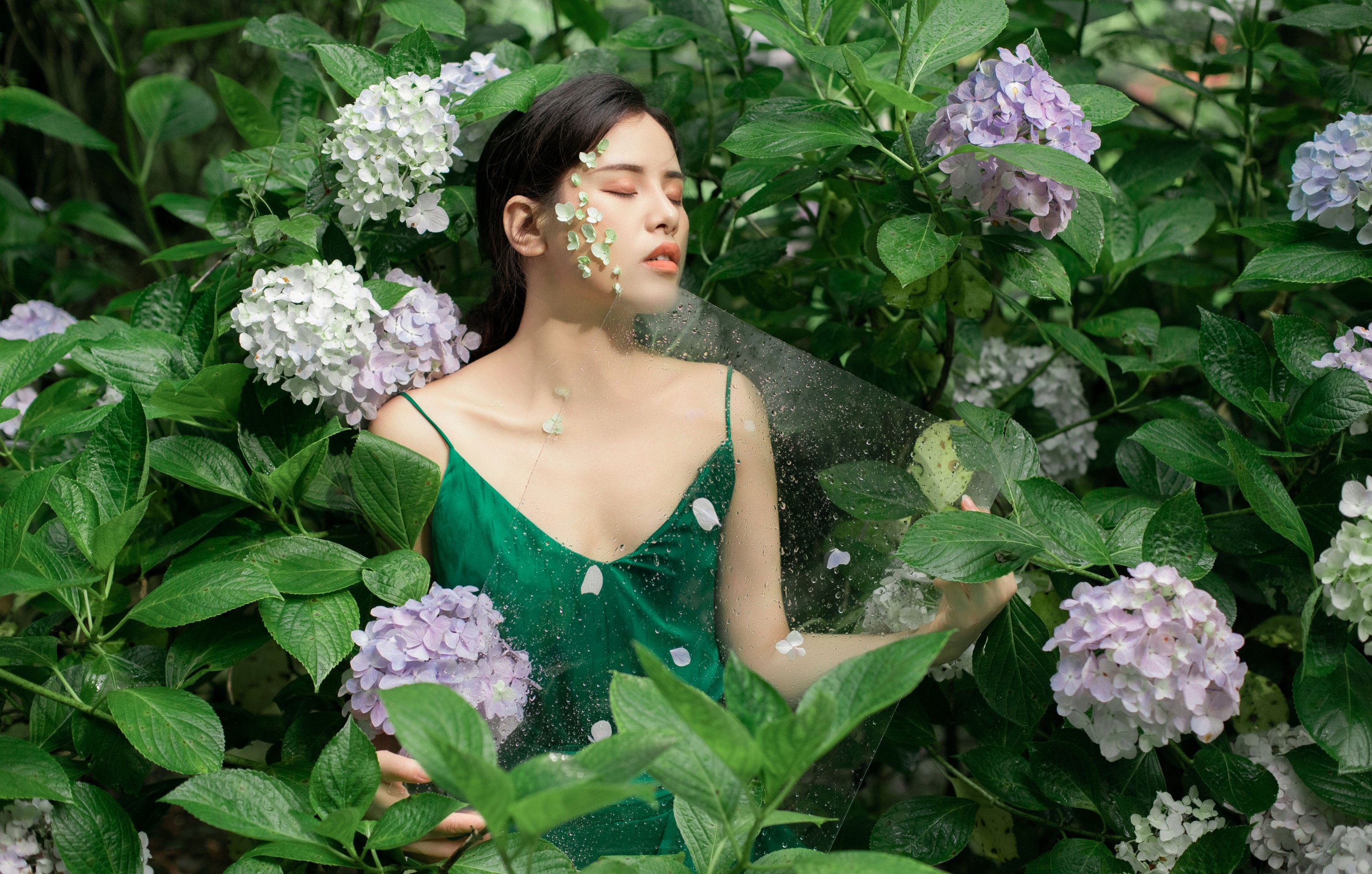 图片[4]-安妮 – 《无尽夏》[27P]-COS写真在线网