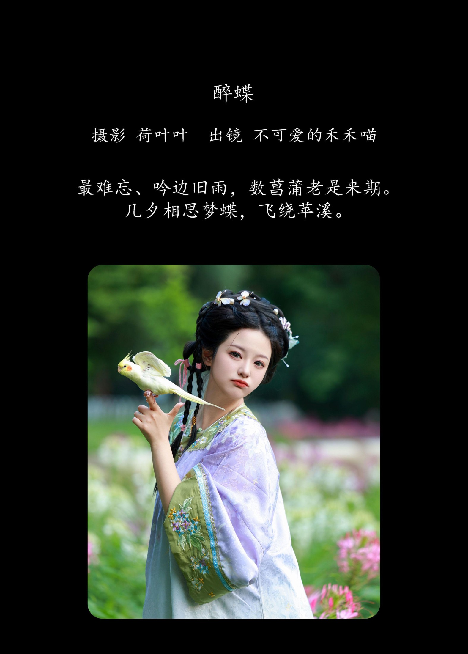 图片[2]-不可爱的禾禾喵 – 《醉蝶》[28P]-COS写真在线网