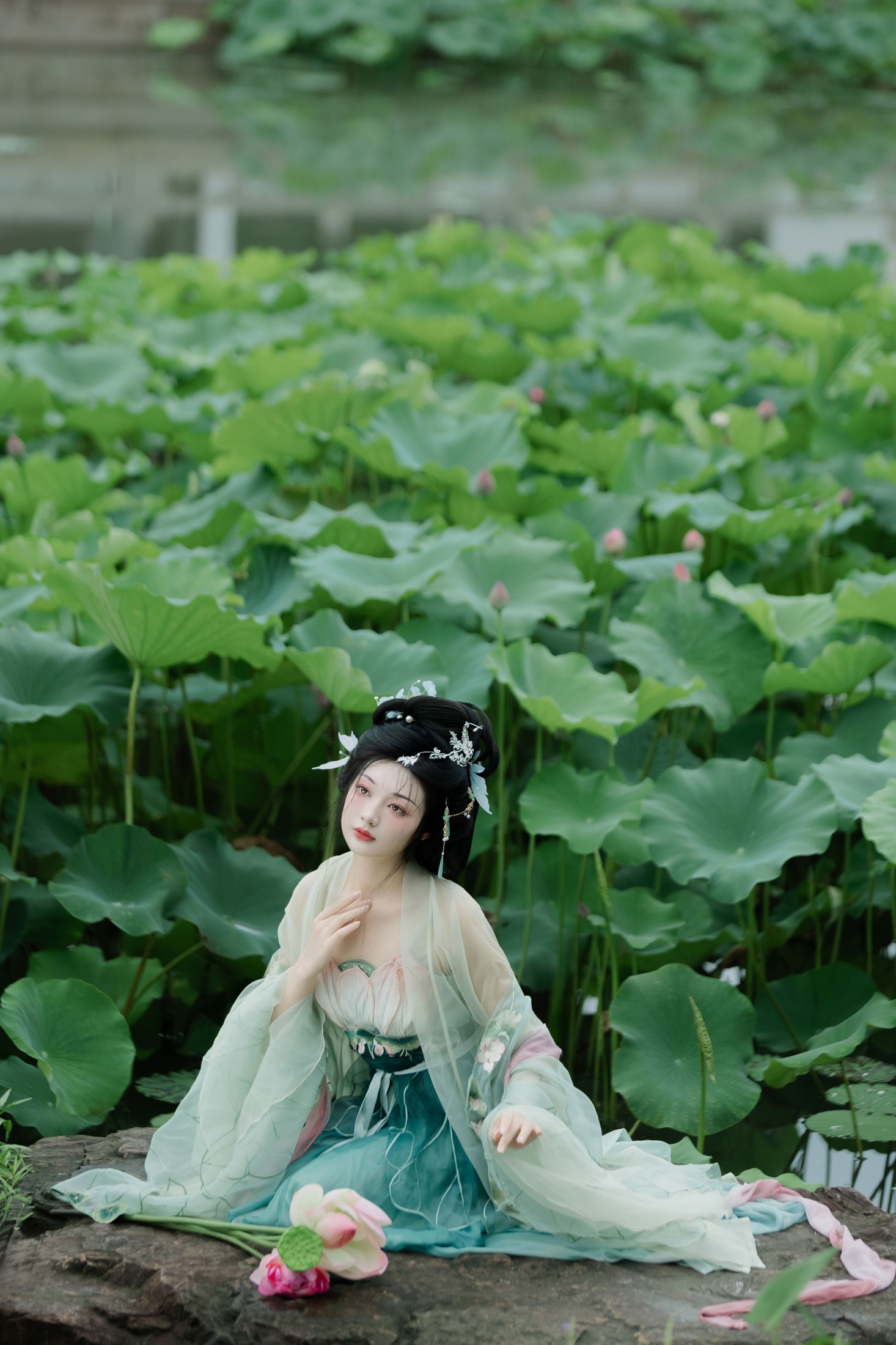 图片[4]-庄子清 – 《暑荷》[32P]-COS写真在线网