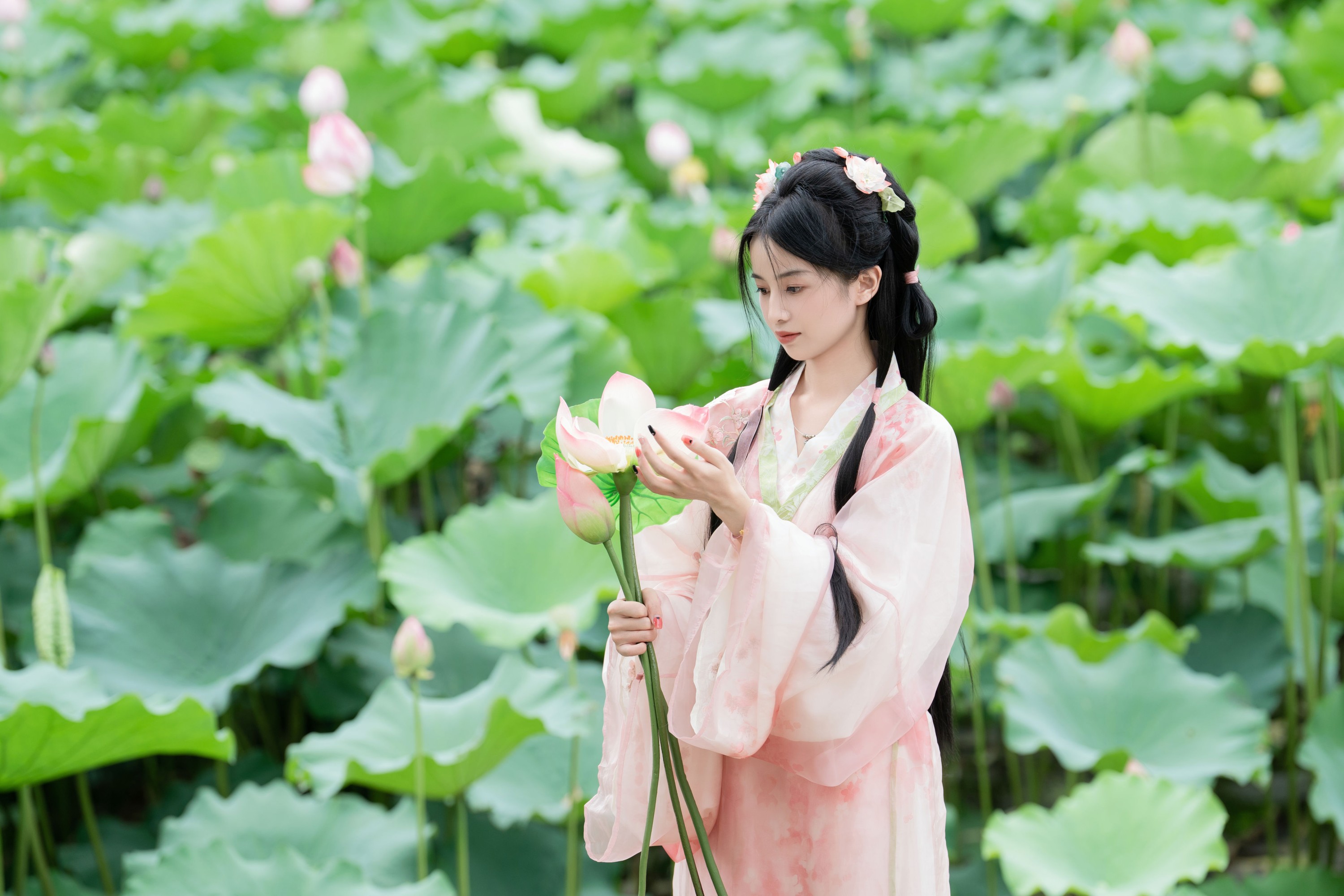 图片[4]-spring – 《接天莲叶无穷碧》[25P]-COS写真在线网