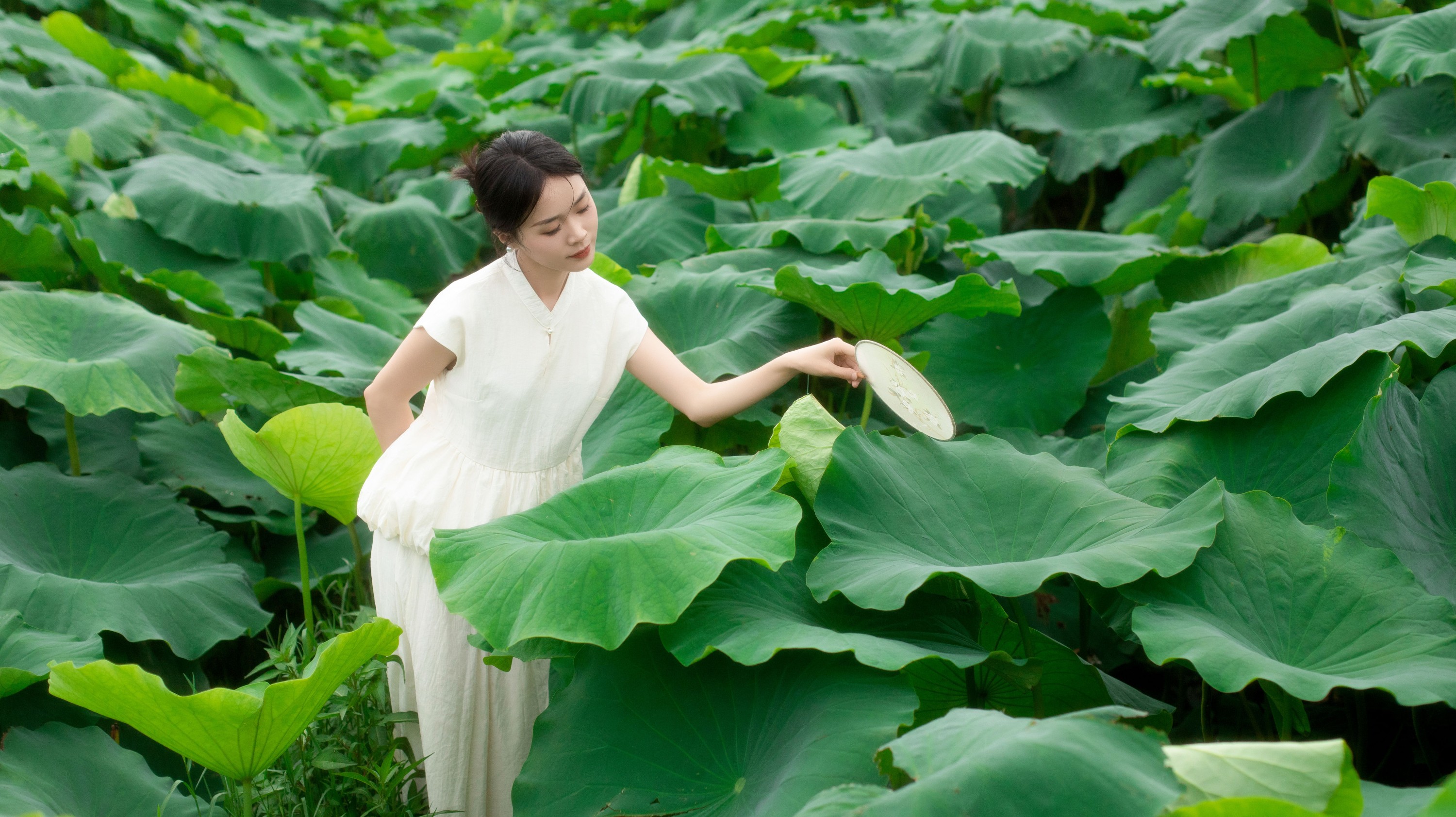 图片[3]-一 – 《夏日荷香》[37P]-COS写真在线网