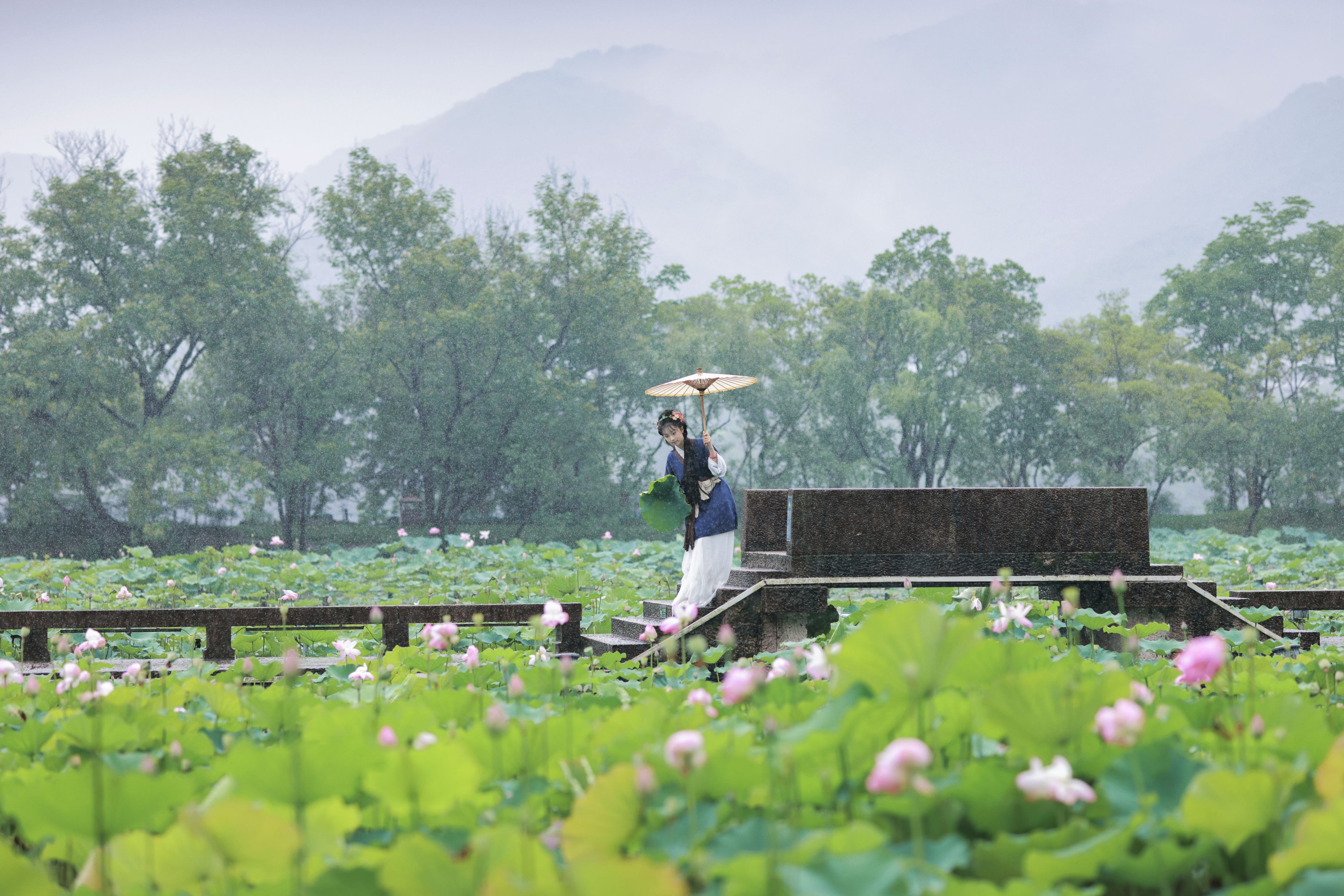 图片[5]-君茹 – 《黛玉赏荷》[20P]-COS写真在线网