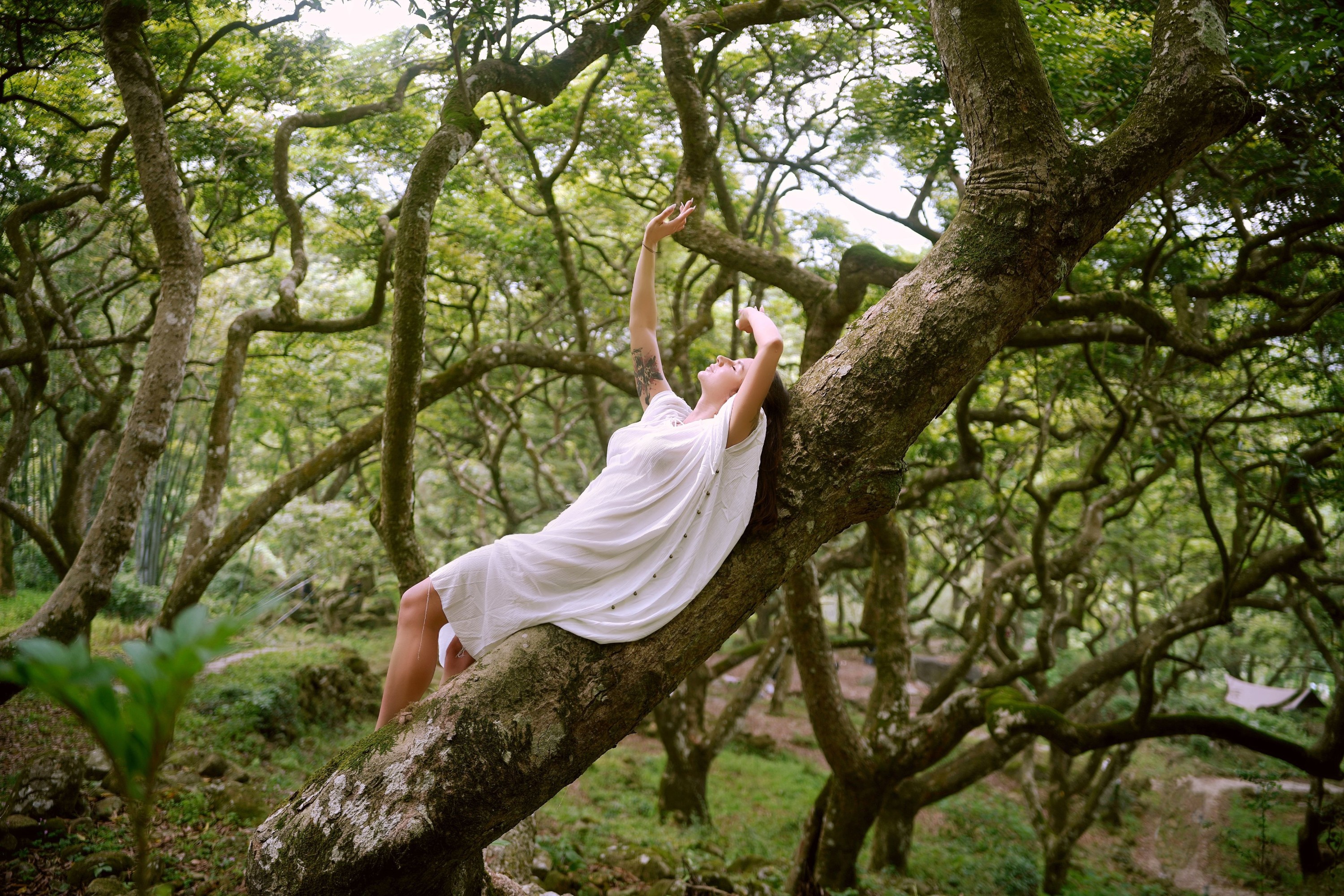 图片[4]-凯莉 – 《树精灵》[22P]-COS写真在线网