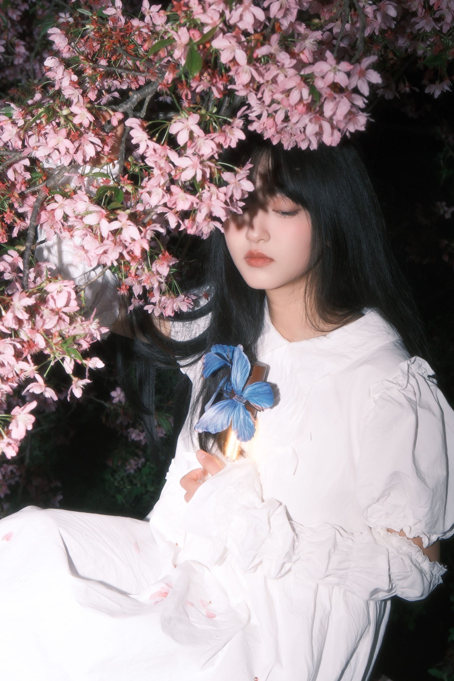 图片[3]-冷酷王爷 – 《葬樱》[28P]-COS写真在线网