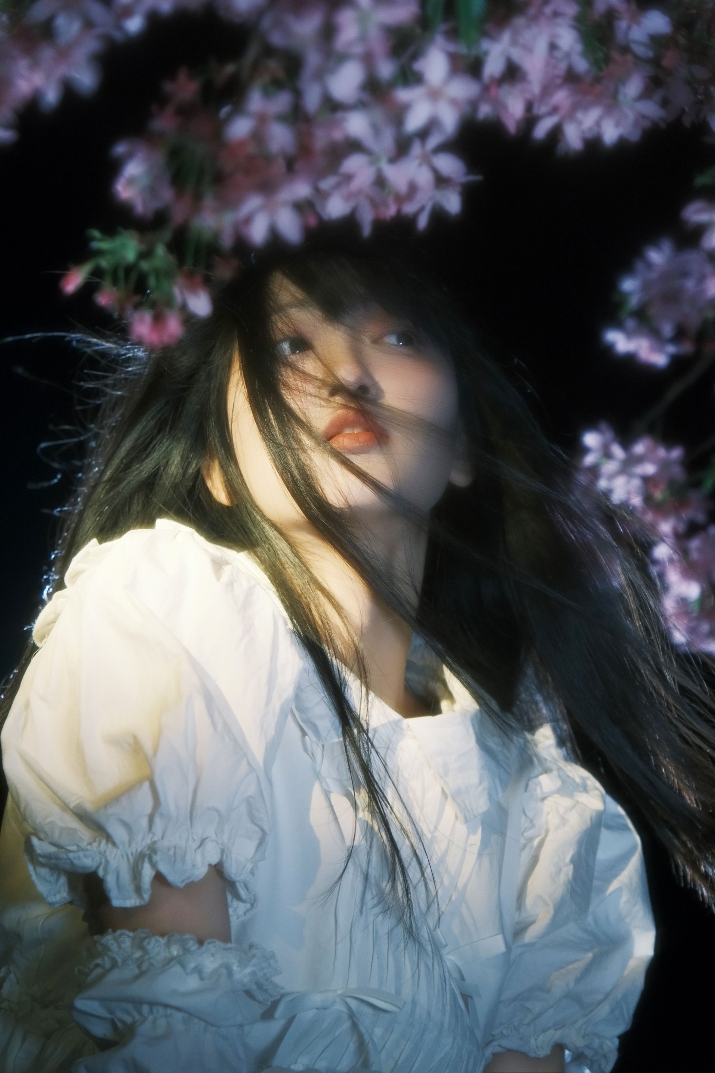 图片[5]-冷酷王爷 – 《葬樱》[28P]-COS写真在线网