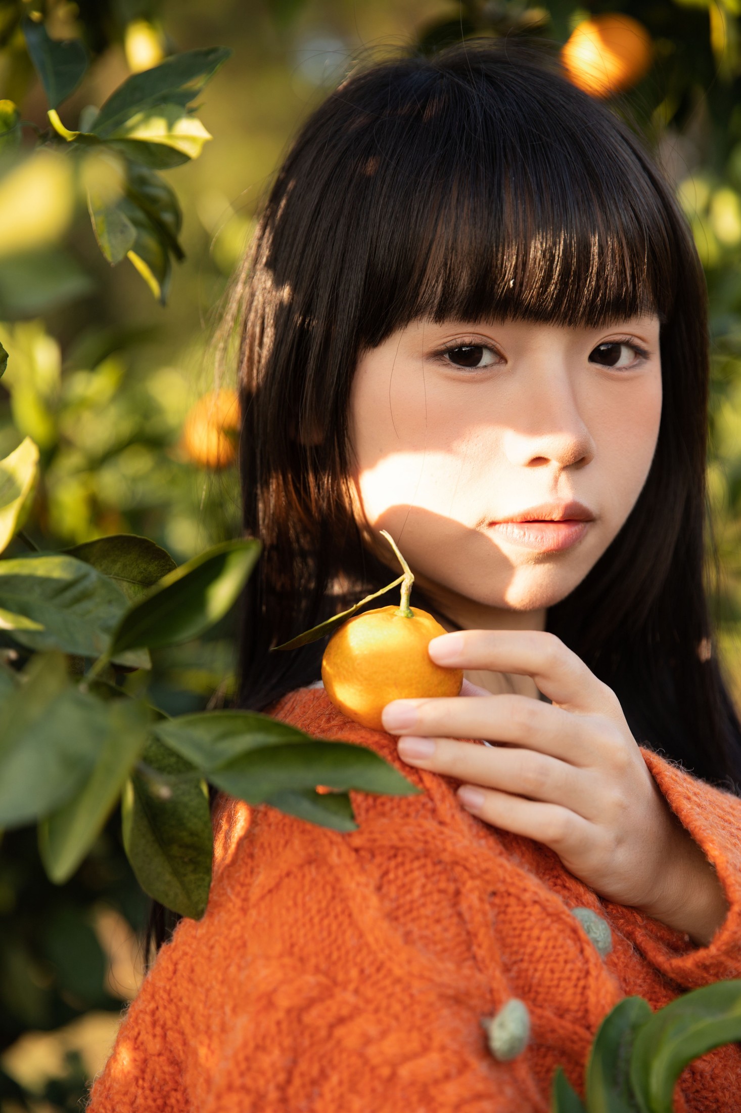 图片[4]-是三金呀 – 《橘子辉煌》[28P]-COS写真在线网