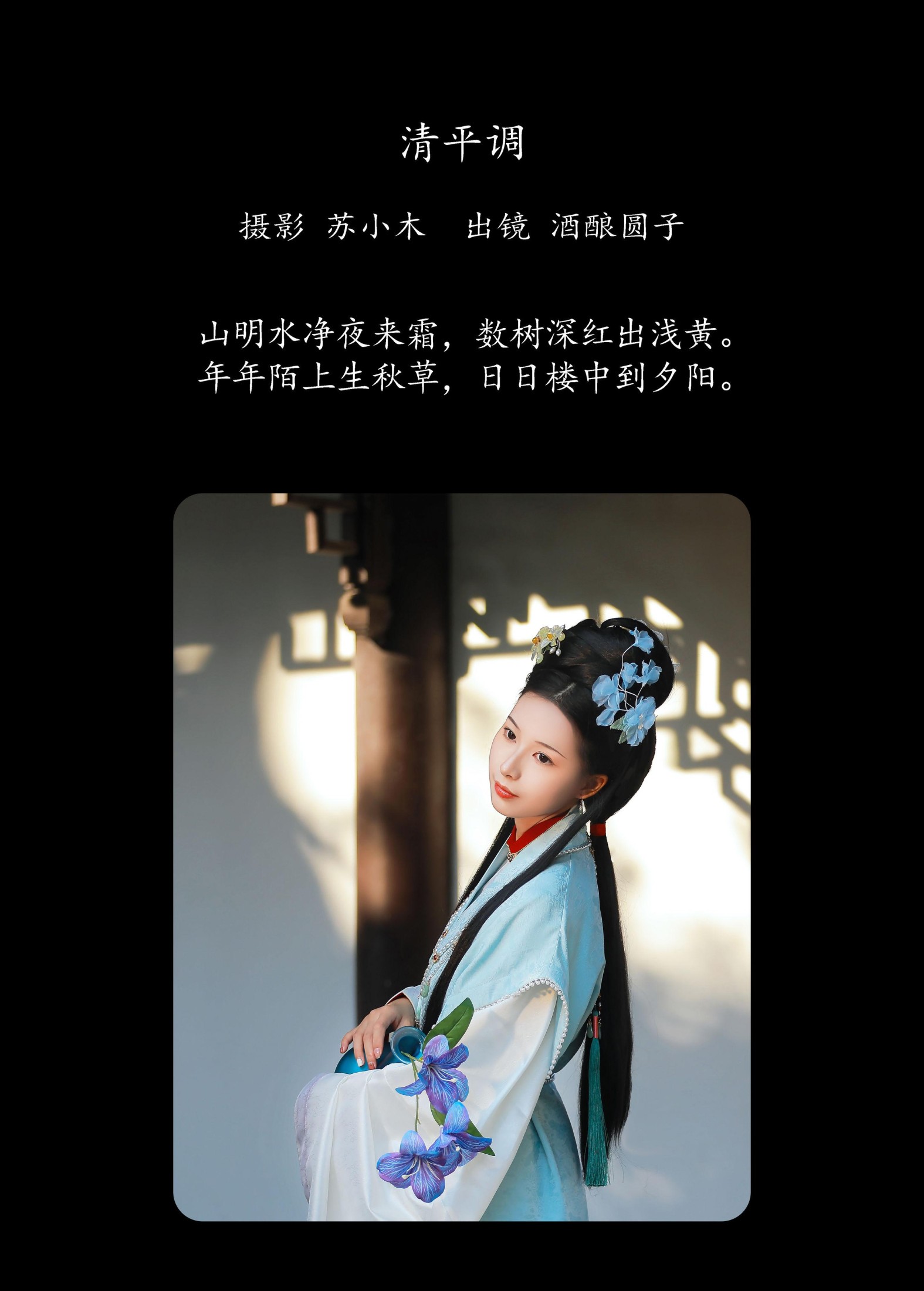 图片[2]-酒酿圆子 – 《清平调》[24P]-COS写真在线网