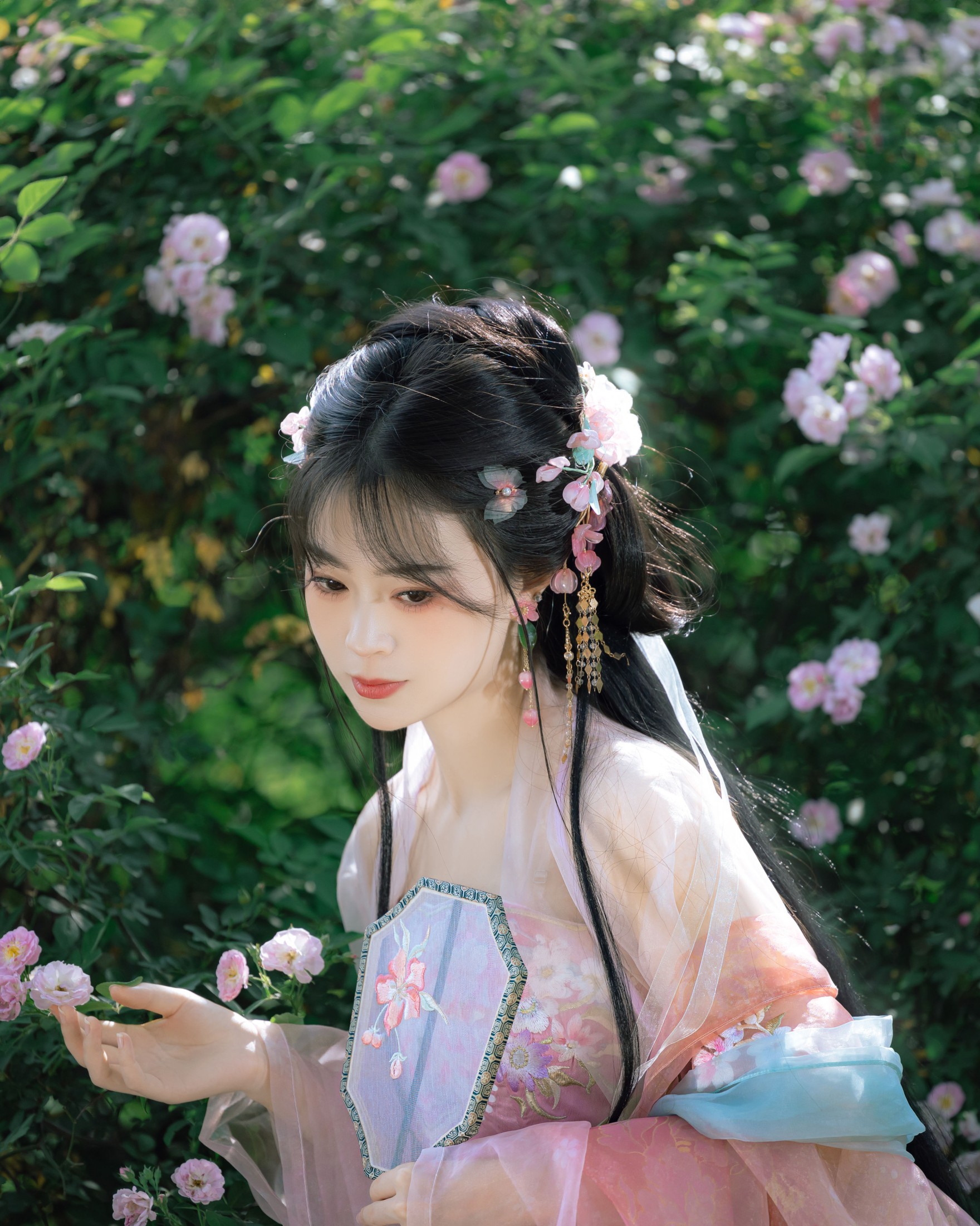 图片[3]-安风 – 《蔷薇》[21P]-COS写真在线网