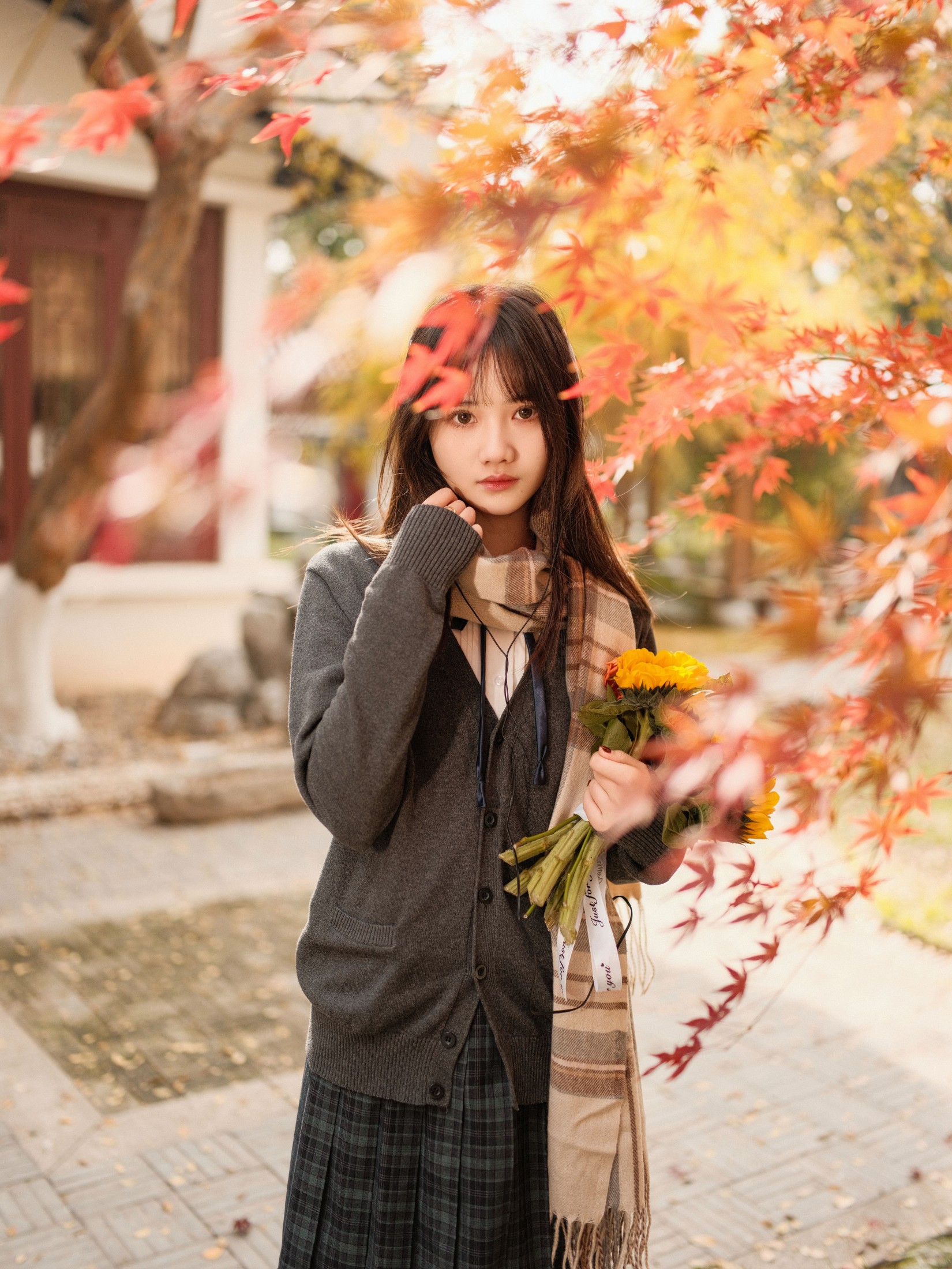 图片[4]-不许翘二郎腿 – 《枫叶醉人颜》[23P]-COS写真在线网