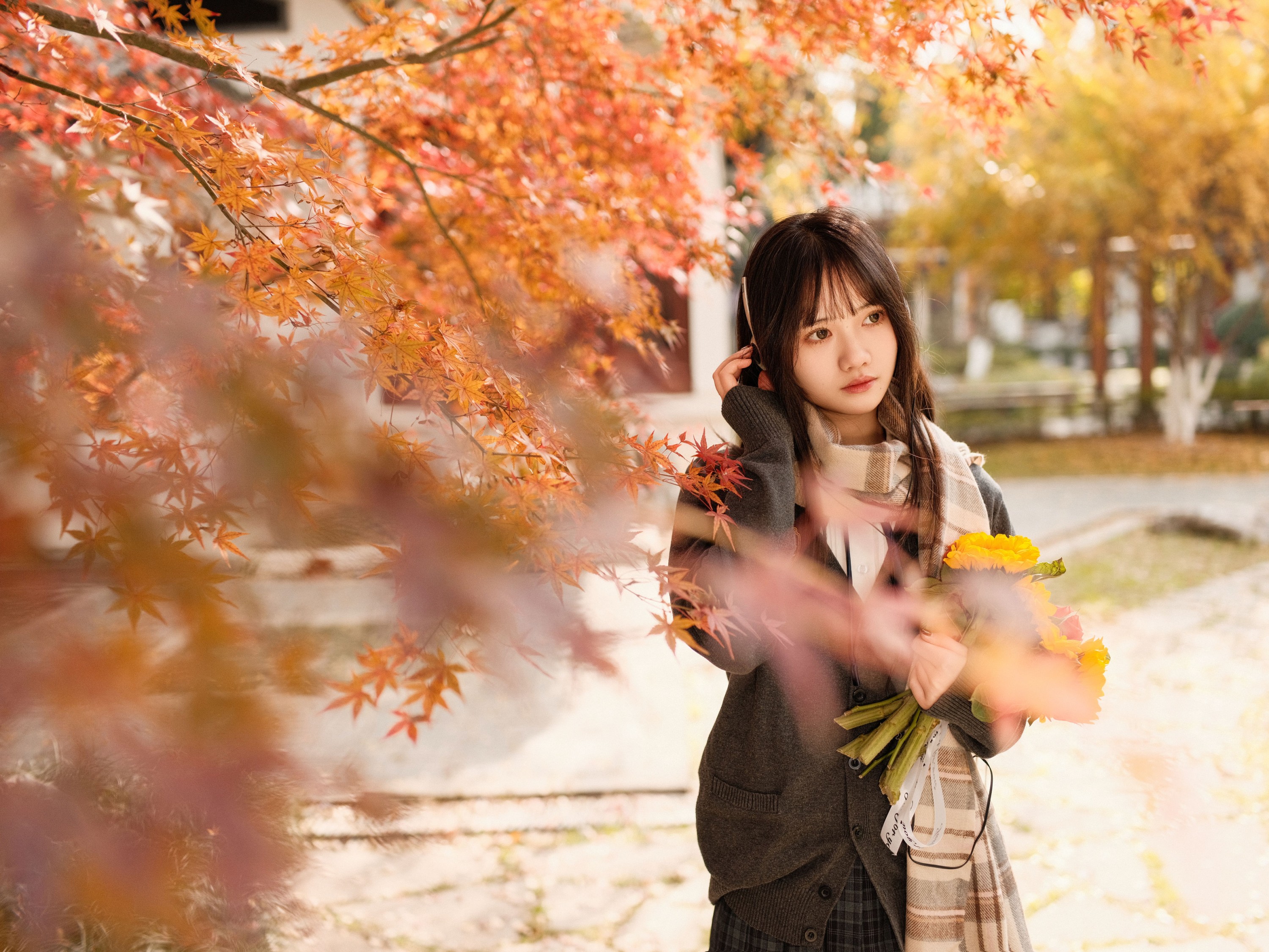 图片[3]-不许翘二郎腿 – 《枫叶醉人颜》[23P]-COS写真在线网