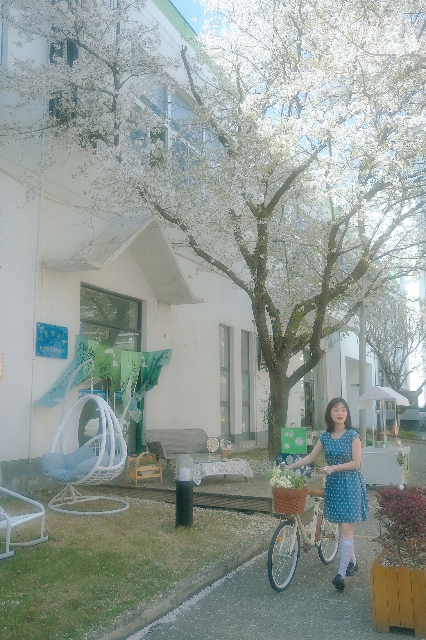 图片[3]-鑫鑫 – 《春天的花是冬天的梦》[23P]-COS写真在线网
