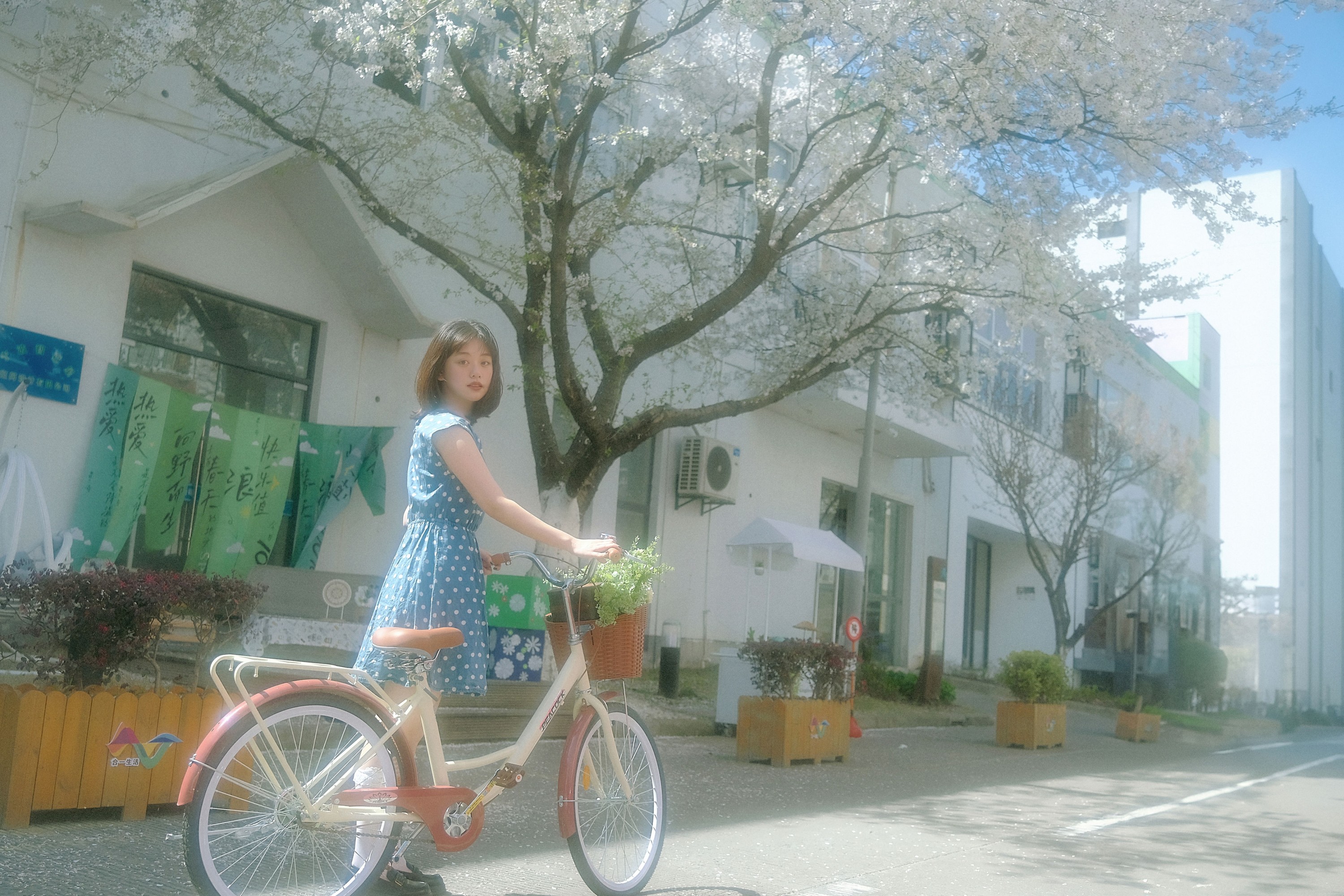 图片[4]-鑫鑫 – 《春天的花是冬天的梦》[23P]-COS写真在线网
