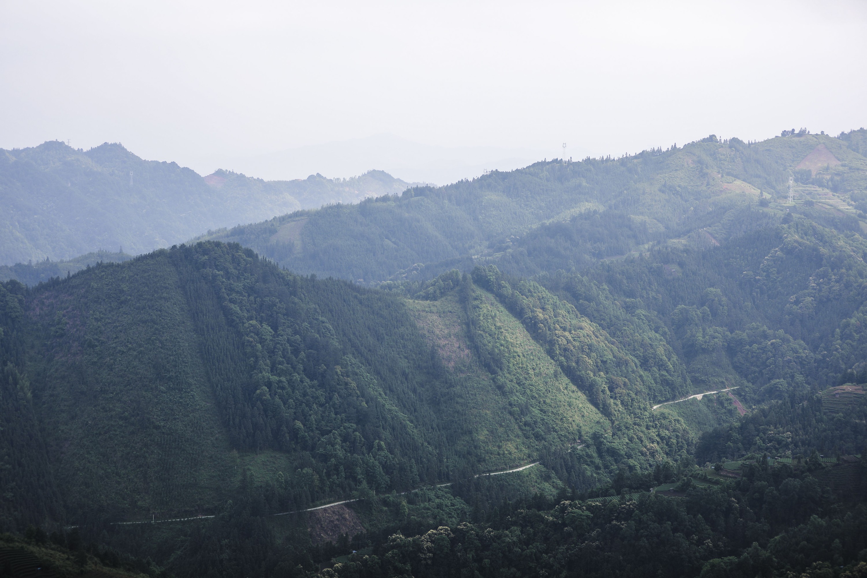 图片[3]-秋哒哒– – 《清茗》[20P]-COS写真在线网