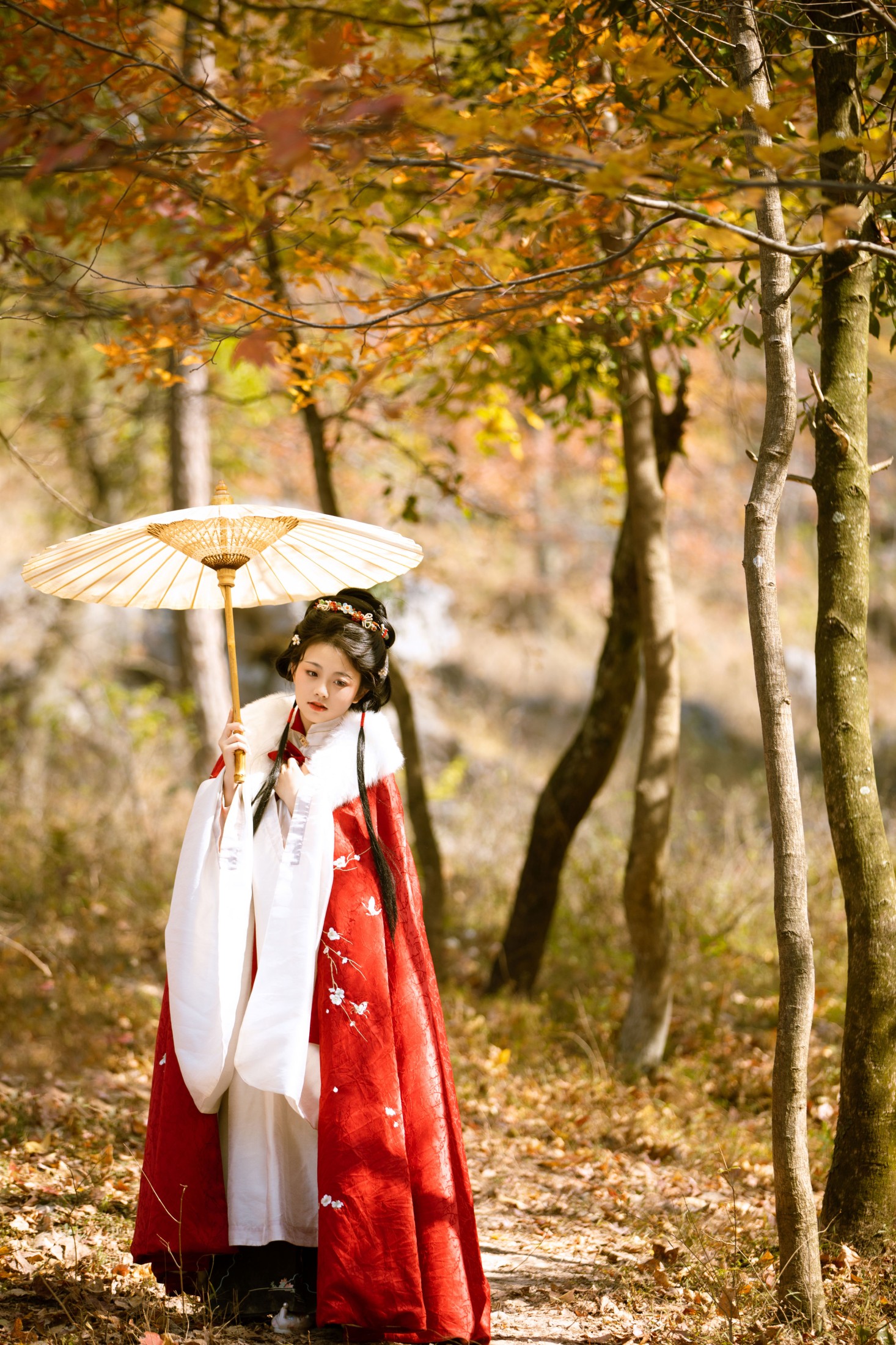 图片[3]-谨陬捌 – 《满阶红叶》[26P]-COS写真在线网