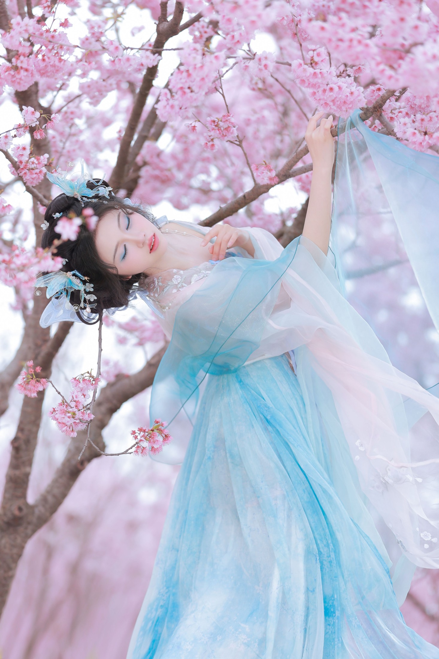 图片[6]-十元zz – 《樱舞蝶衣》[24P]-COS写真在线网