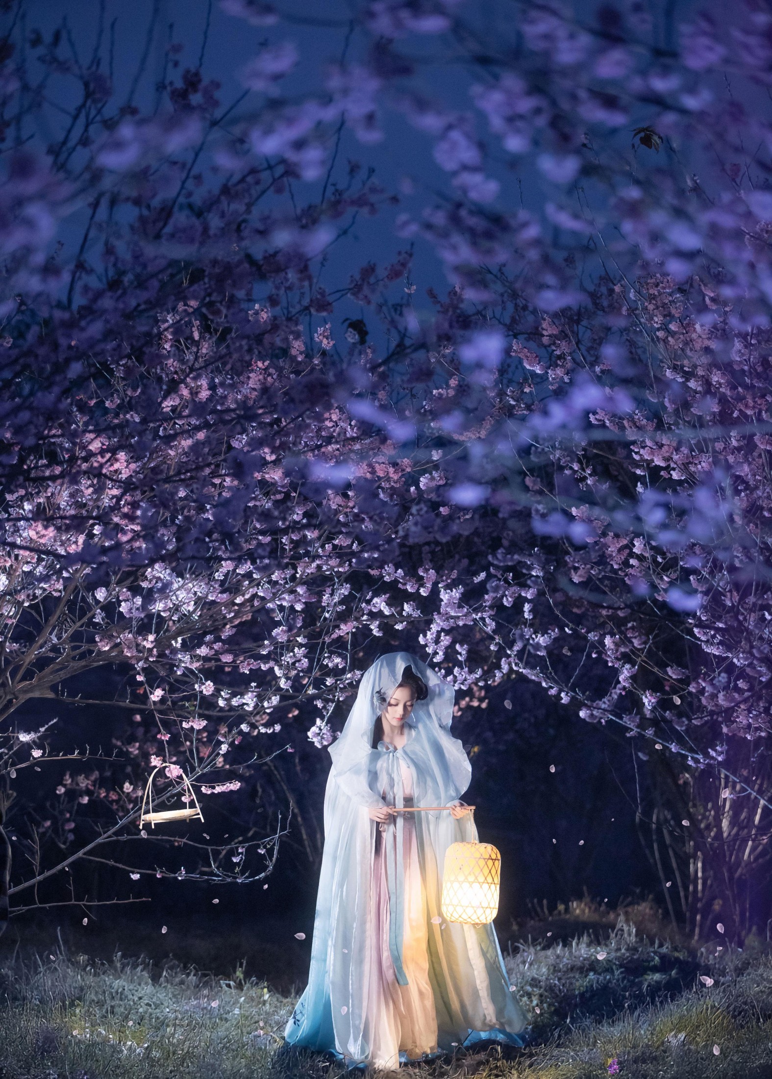 图片[2]-七霓巳猫- – 《梦遣看花人》[34P]-COS写真在线网
