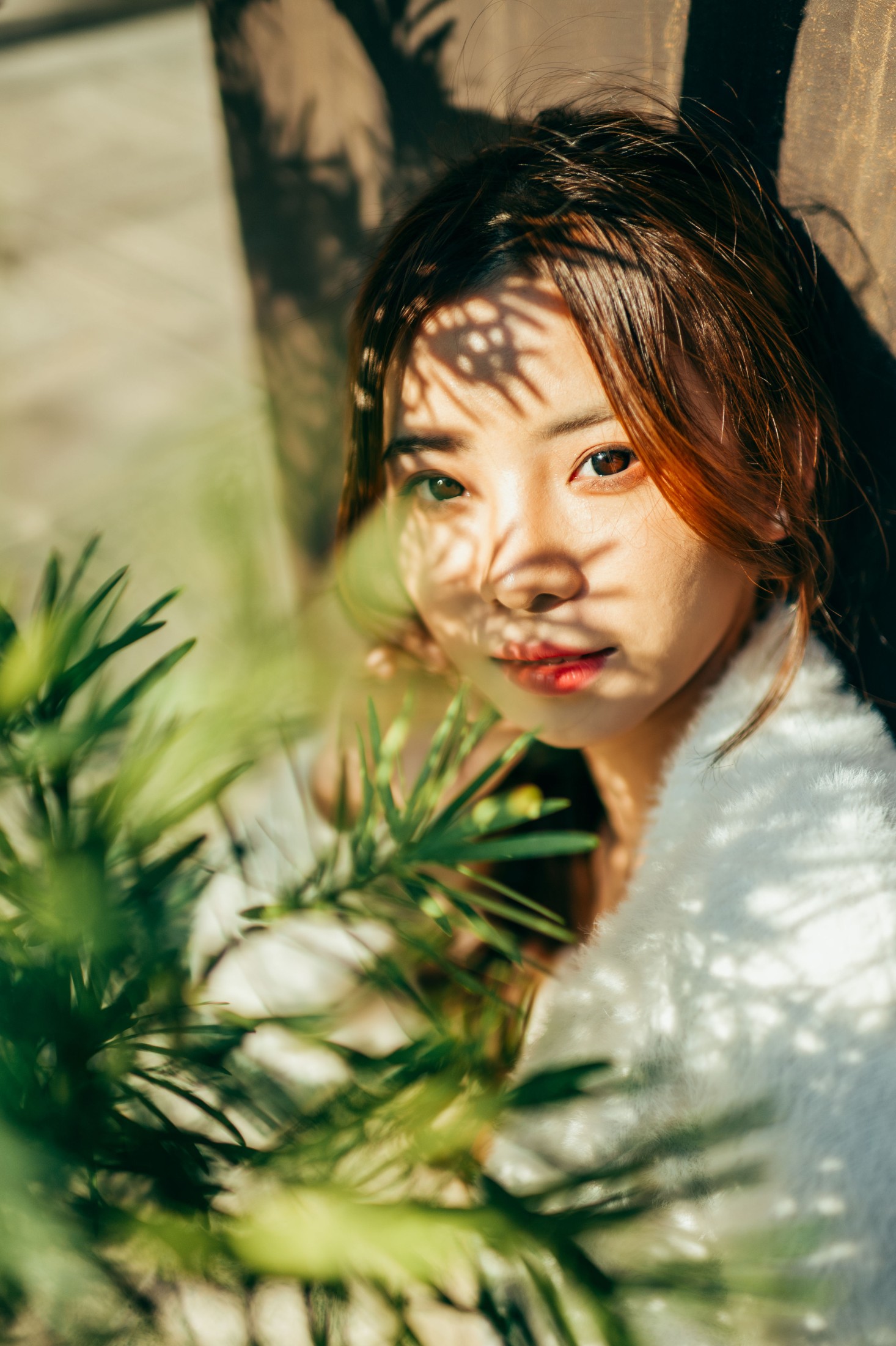 图片[4]-章鱼 – 《赤松宫》[20P]-COS写真在线网