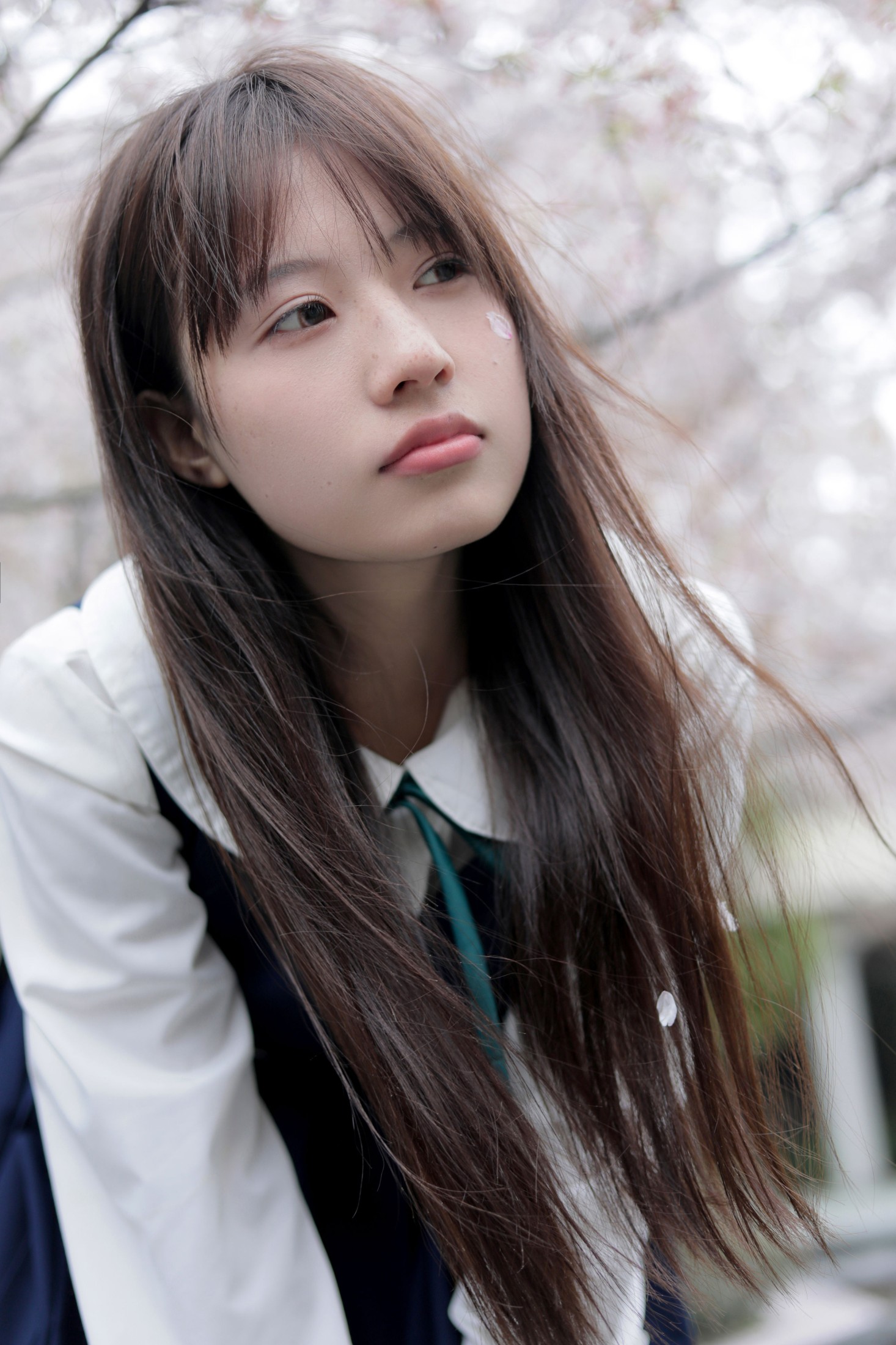 图片[4]-– 《春日礼赞》[35P]-COS写真在线网