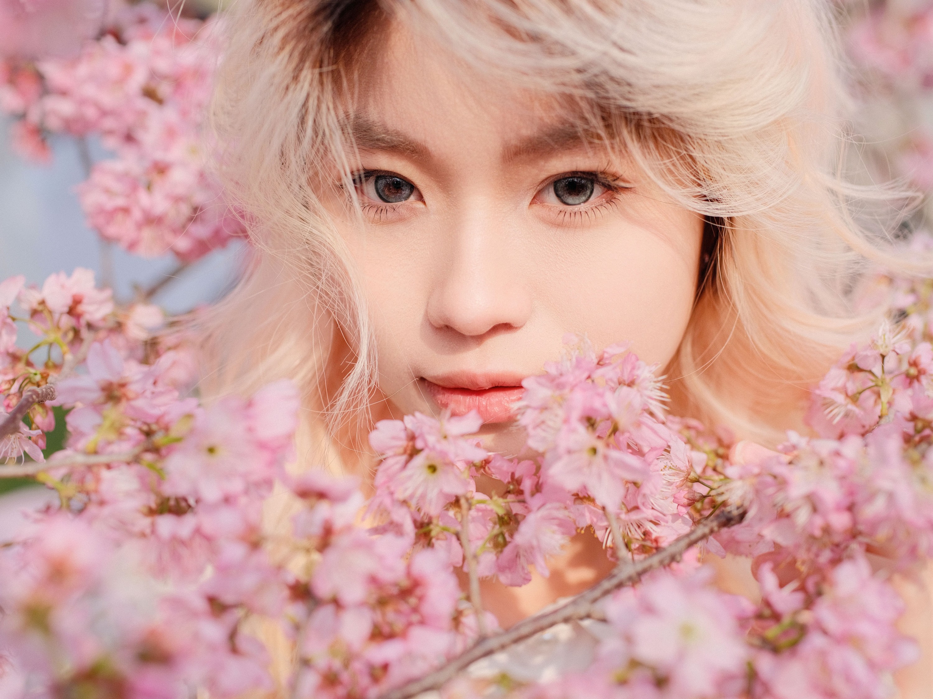 图片[3]-点点 – 《樱花树下》[16P]-COS写真在线网