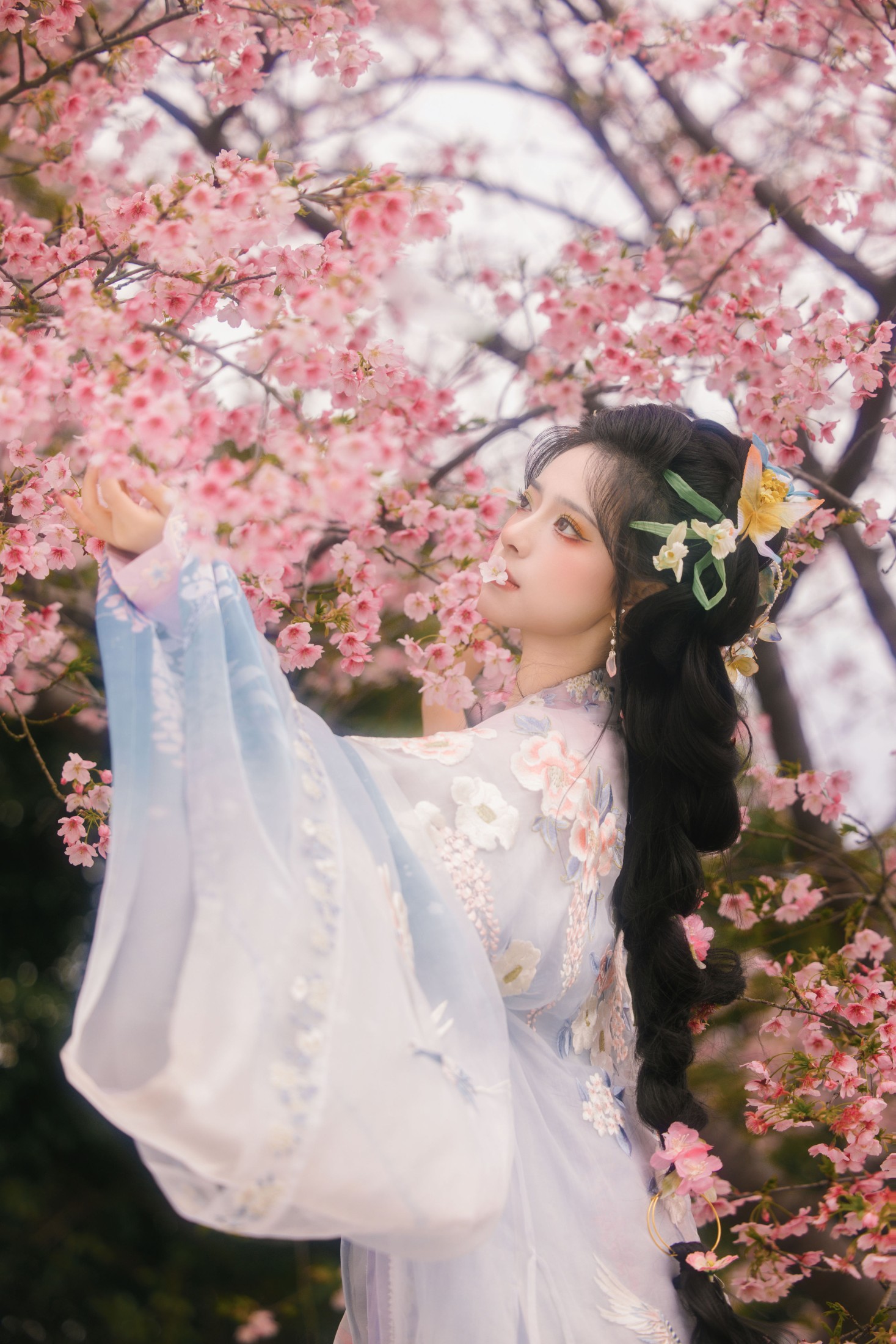 图片[5]-衔鹿 – 《樱花雨》[18P]-COS写真在线网