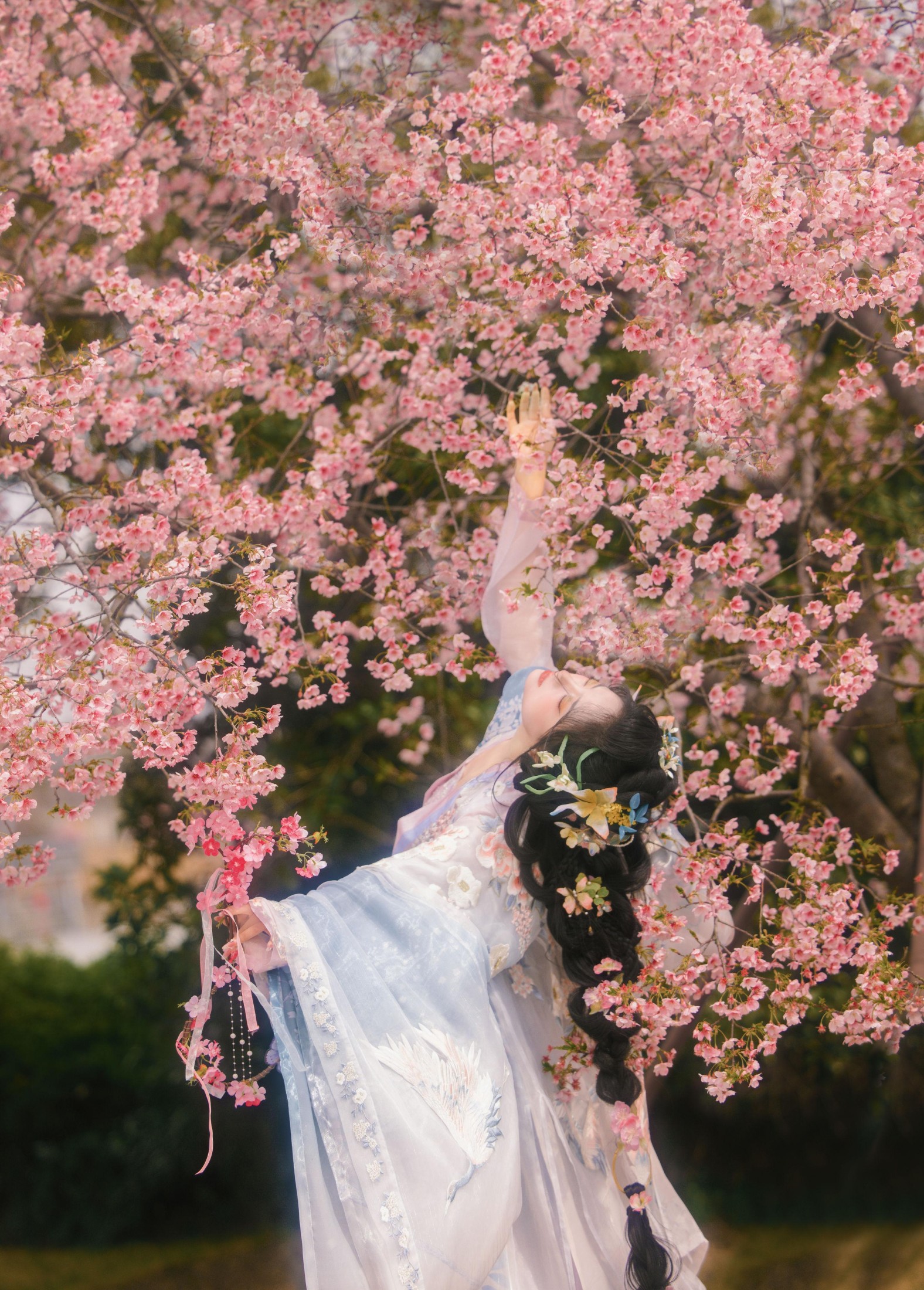 图片[2]-衔鹿 – 《樱花雨》[18P]-COS写真在线网