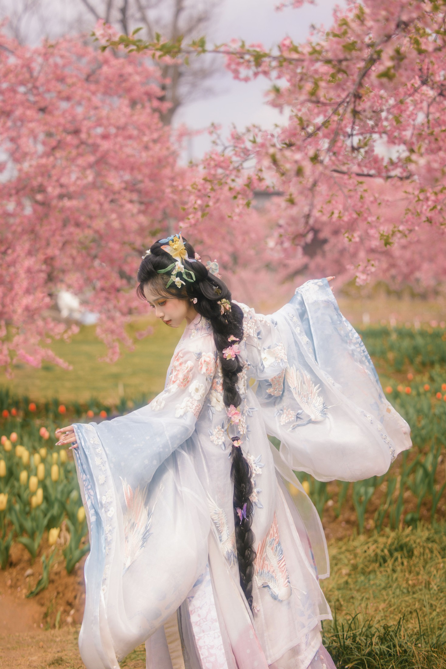 图片[6]-衔鹿 – 《樱花雨》[18P]-COS写真在线网