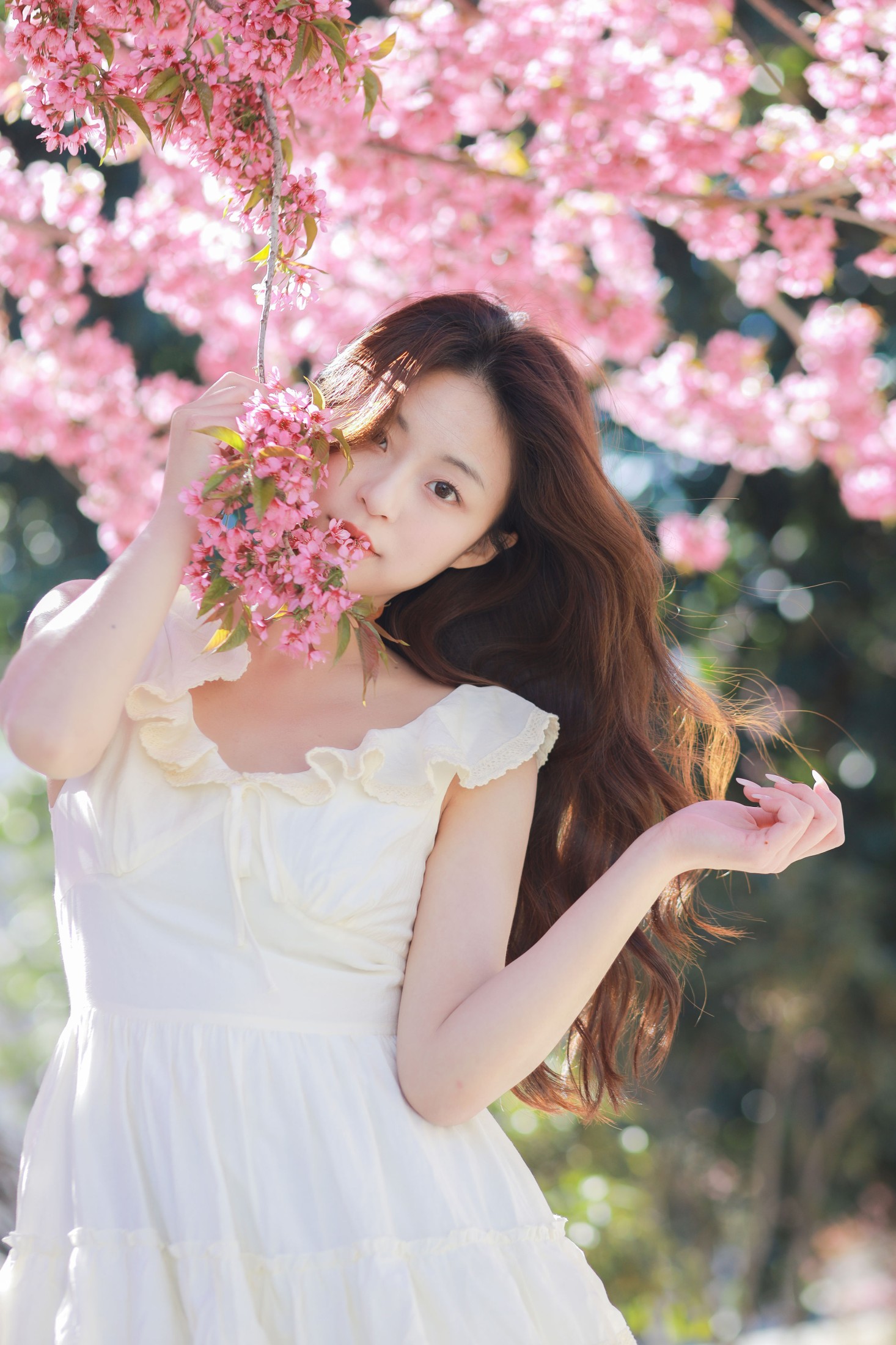 图片[6]-chickkii_ – 《樱花树下的少女》[22P]-COS写真在线网