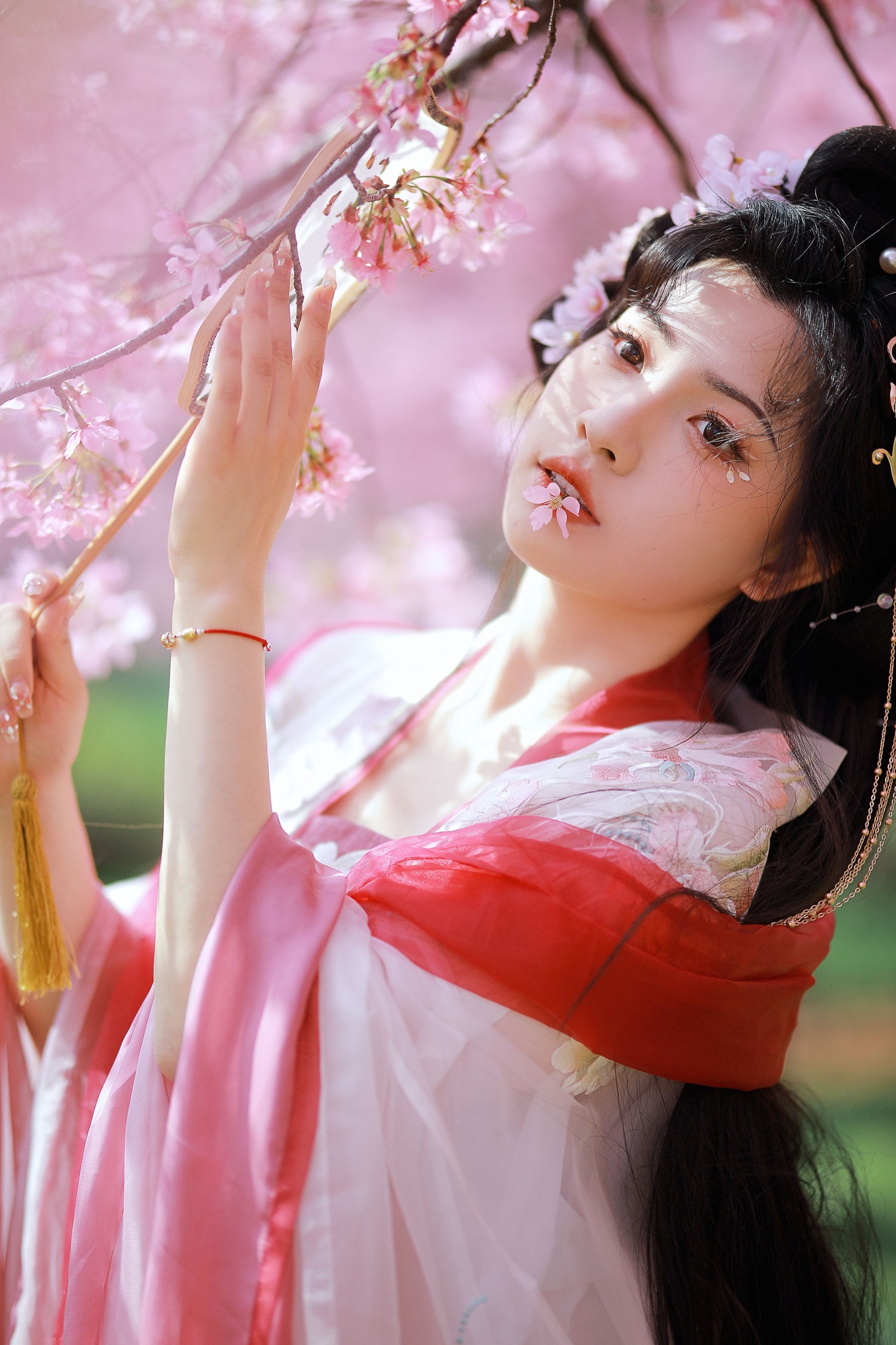 图片[6]-阿冥 – 《樱花仙子》[15P]-COS写真在线网