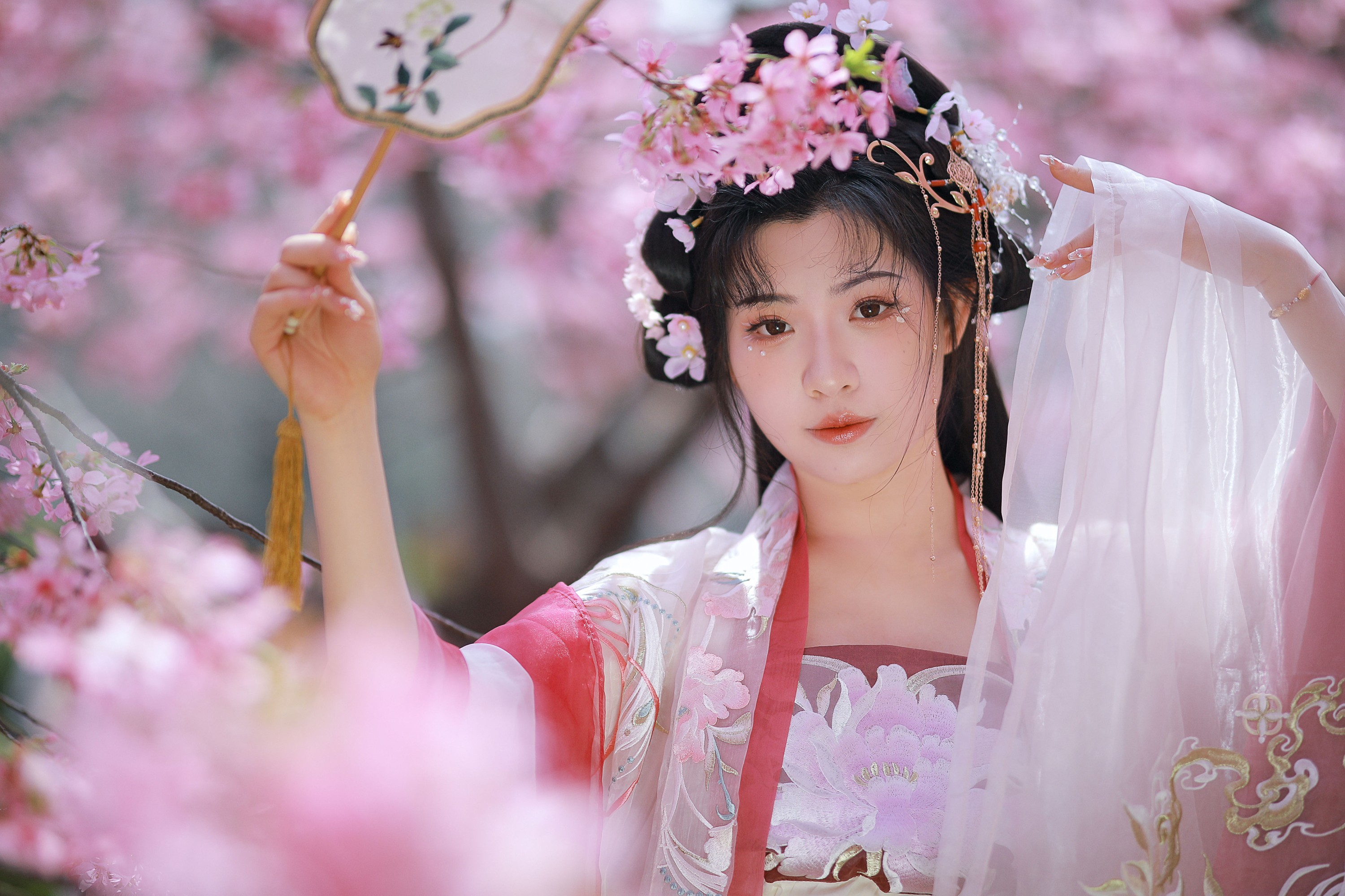 图片[4]-阿冥 – 《樱花仙子》[15P]-COS写真在线网