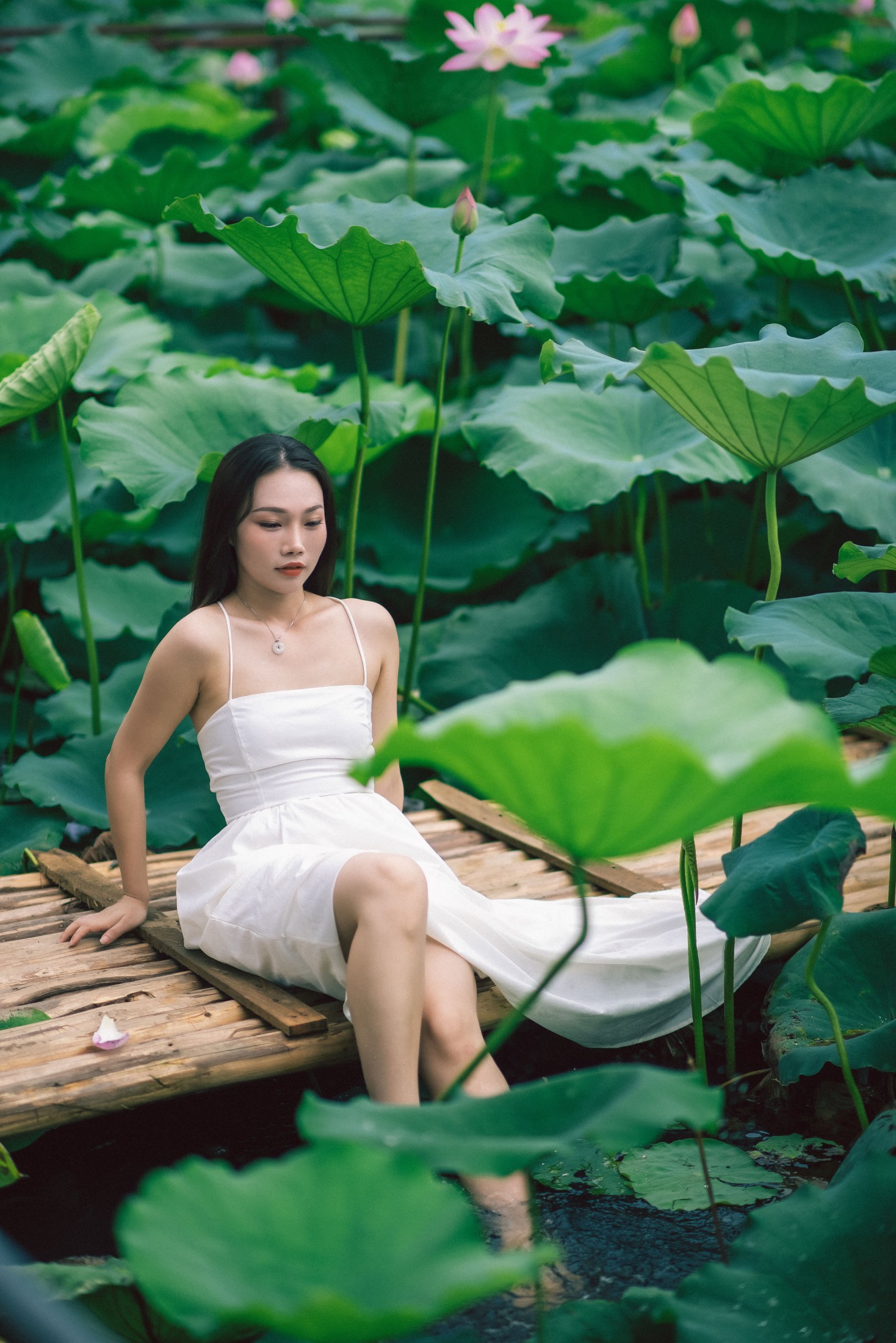 图片[4]-橘子 – 《雨荷》[26P]-COS写真在线网