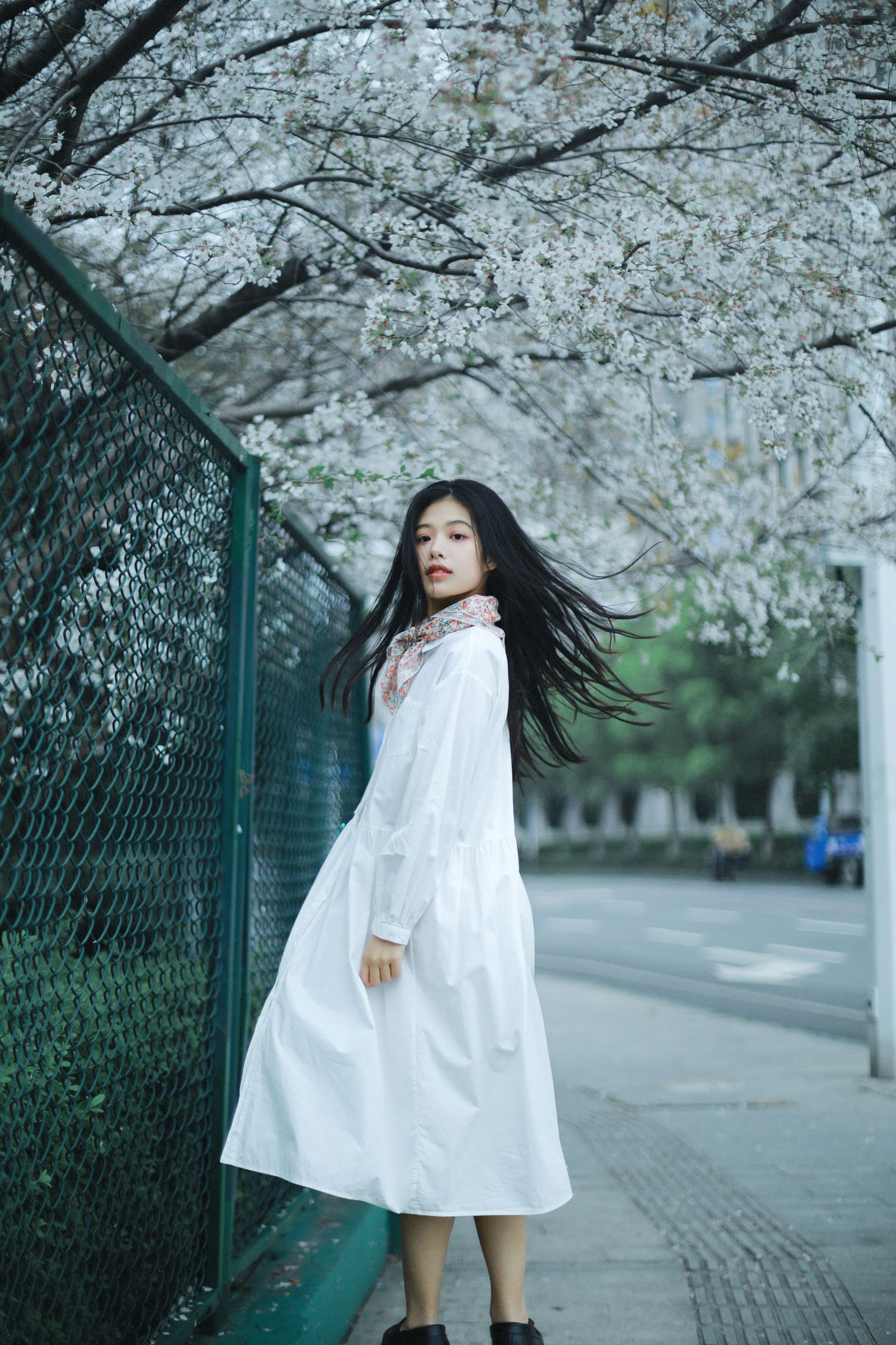 图片[3]-龙星儿 – 《樱花少女》[30P]-COS写真在线网