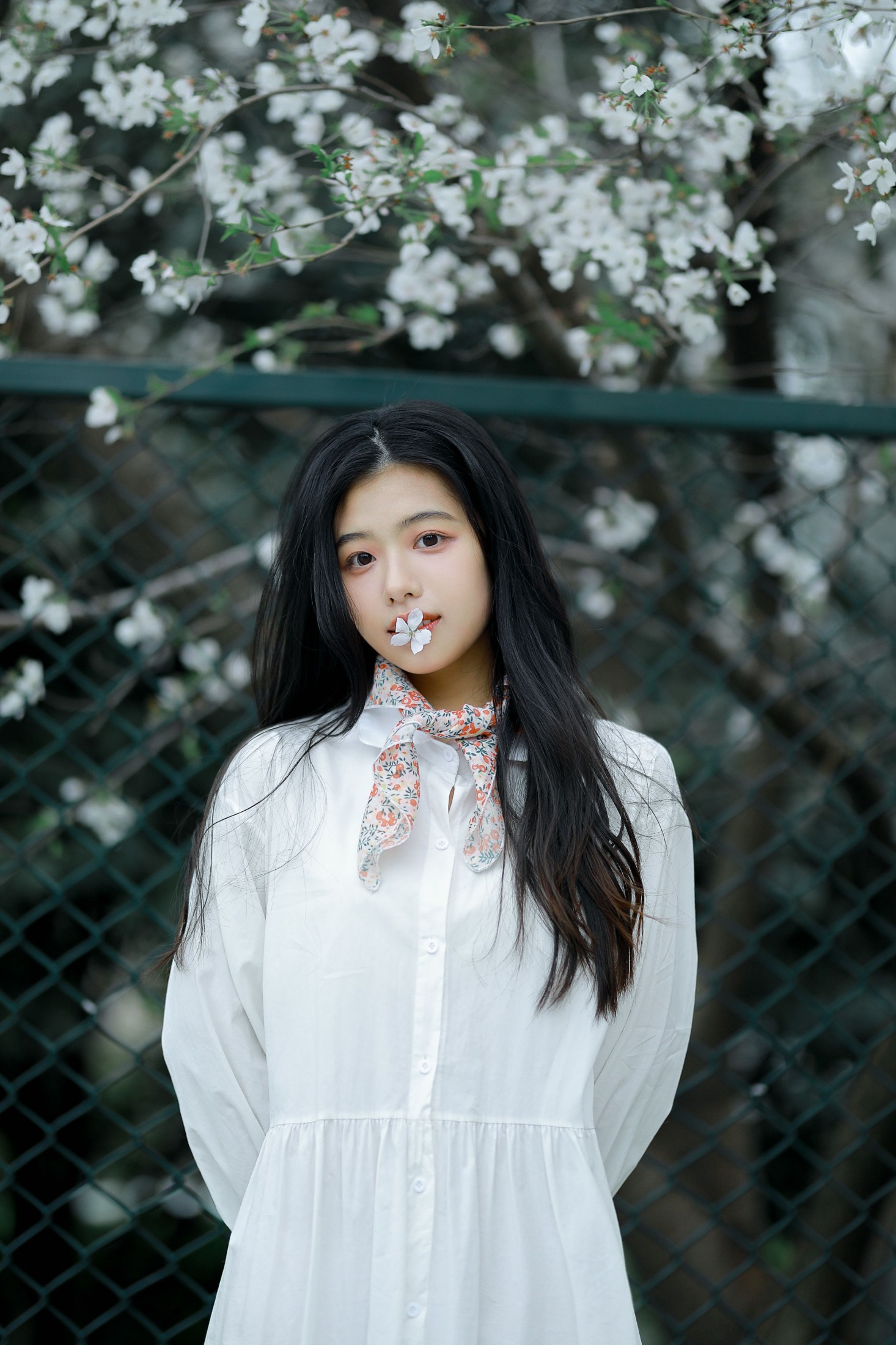 图片[4]-龙星儿 – 《樱花少女》[30P]-COS写真在线网