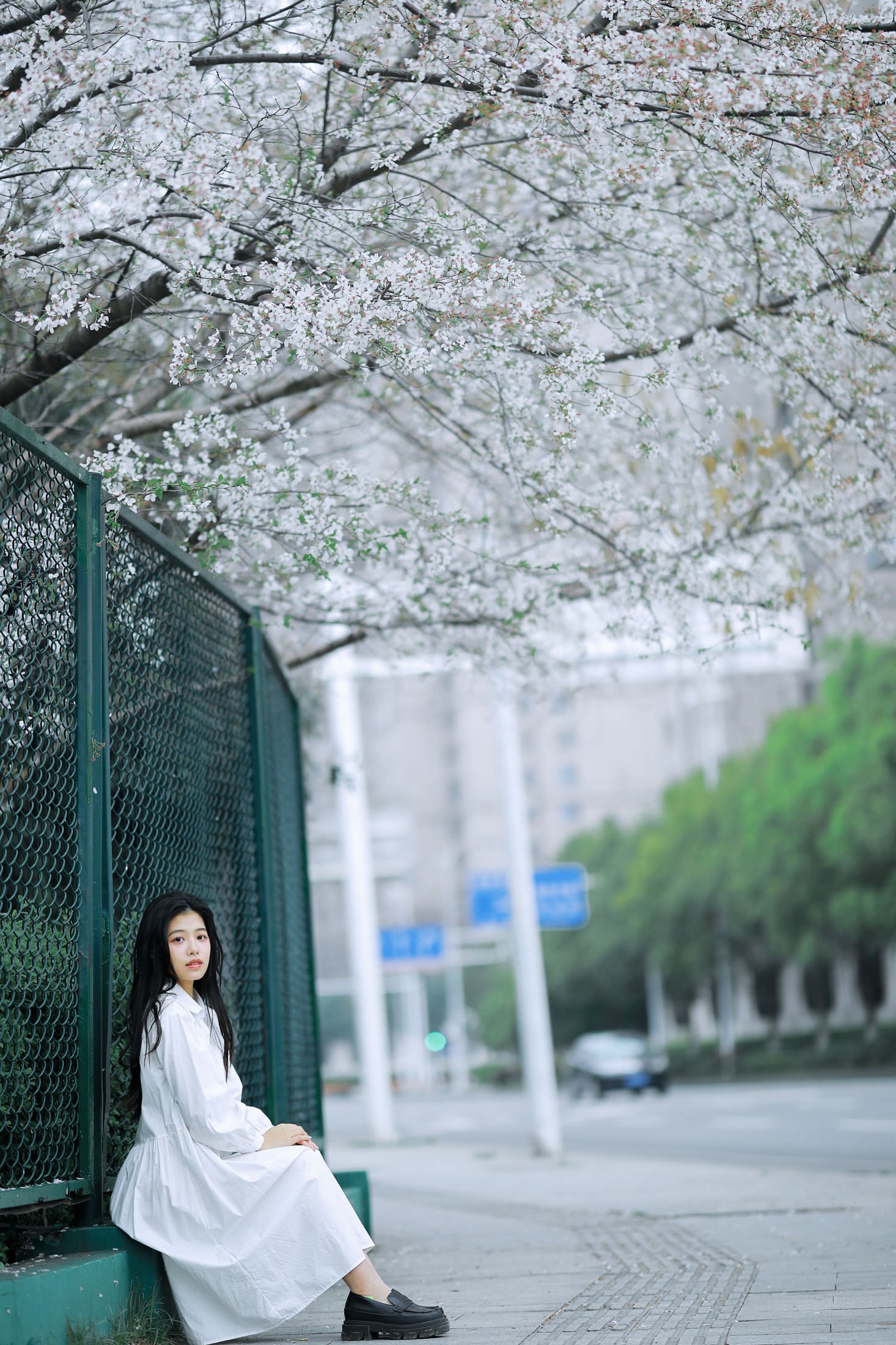 图片[5]-龙星儿 – 《樱花少女》[30P]-COS写真在线网