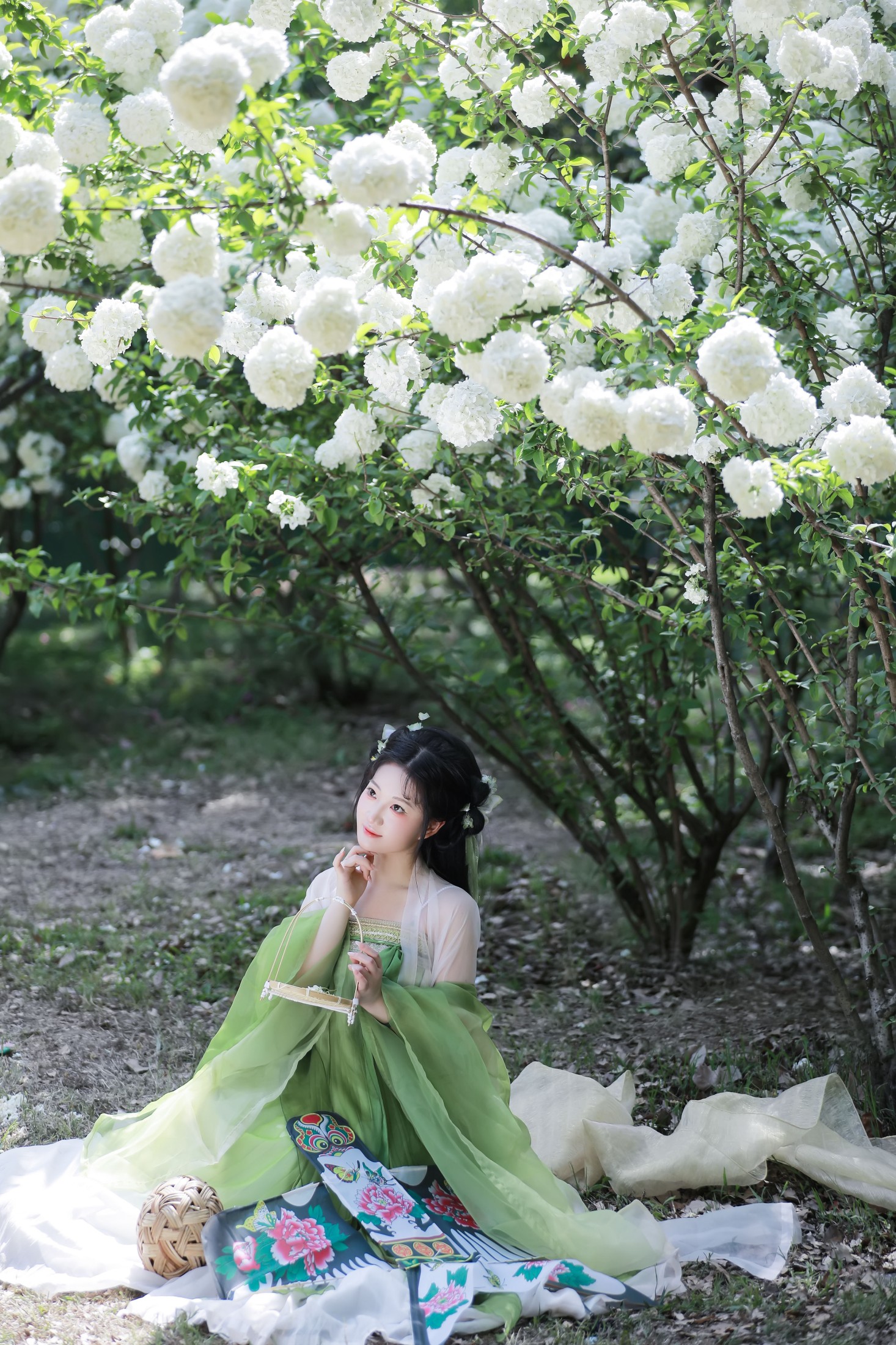 图片[6]-小饼干 – 《花如雪》[23P]-COS写真在线网