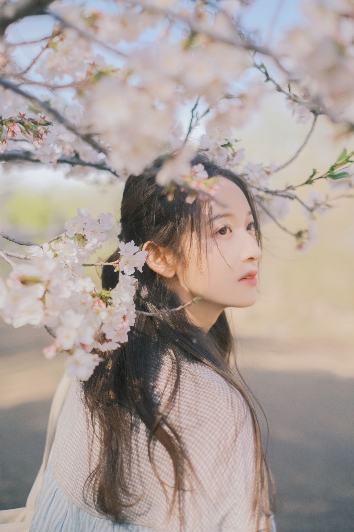 图片[4]-彤 – 《春日信》[30P]-COS写真在线网